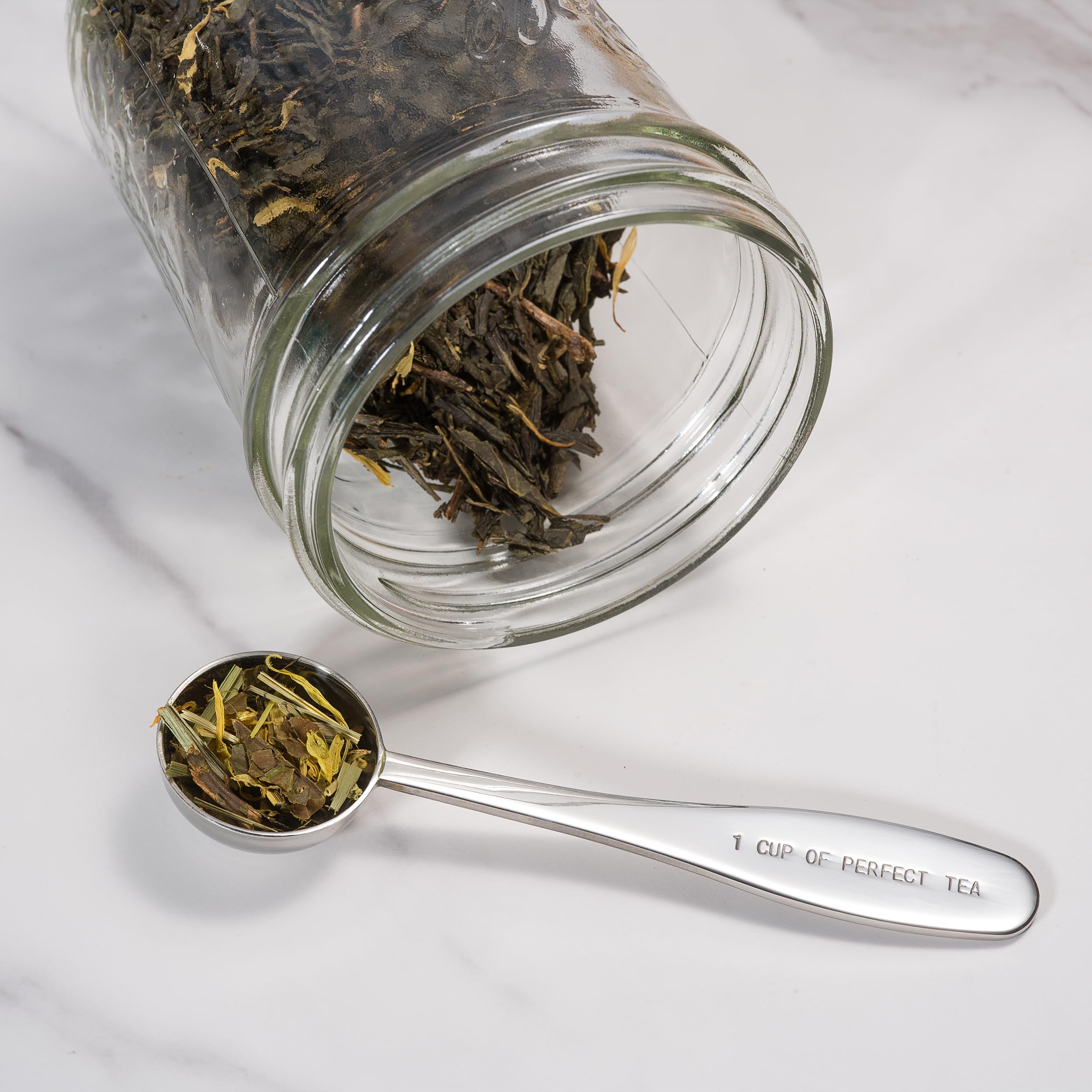 Loose Leaf Tea Spoon Measure | One Cup Of Perfect Tea | Stainless Steel Scoop | Premium High Polish Finish