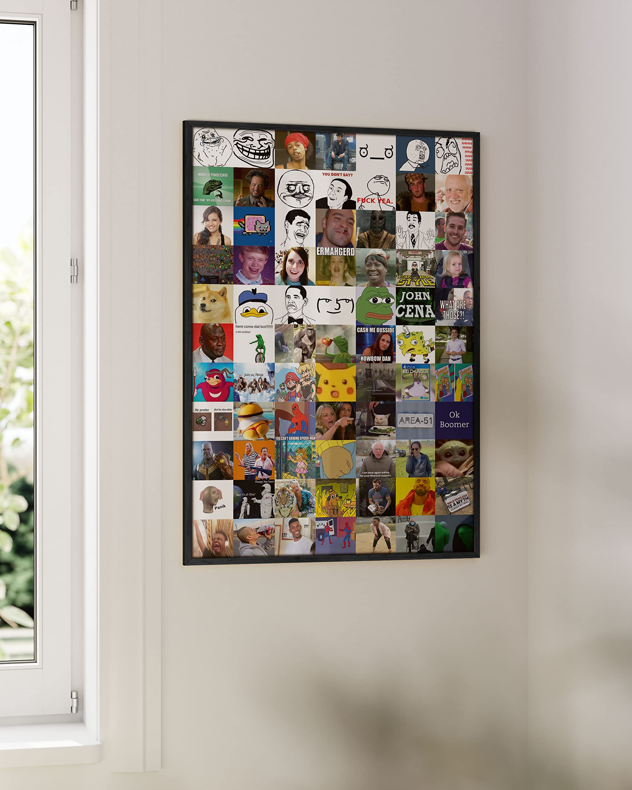 HAUS AND HUES Funny Meme Poster - Humor Wall Art for Dorm & Men's Room, Unframed 24x36, History of Memes Design