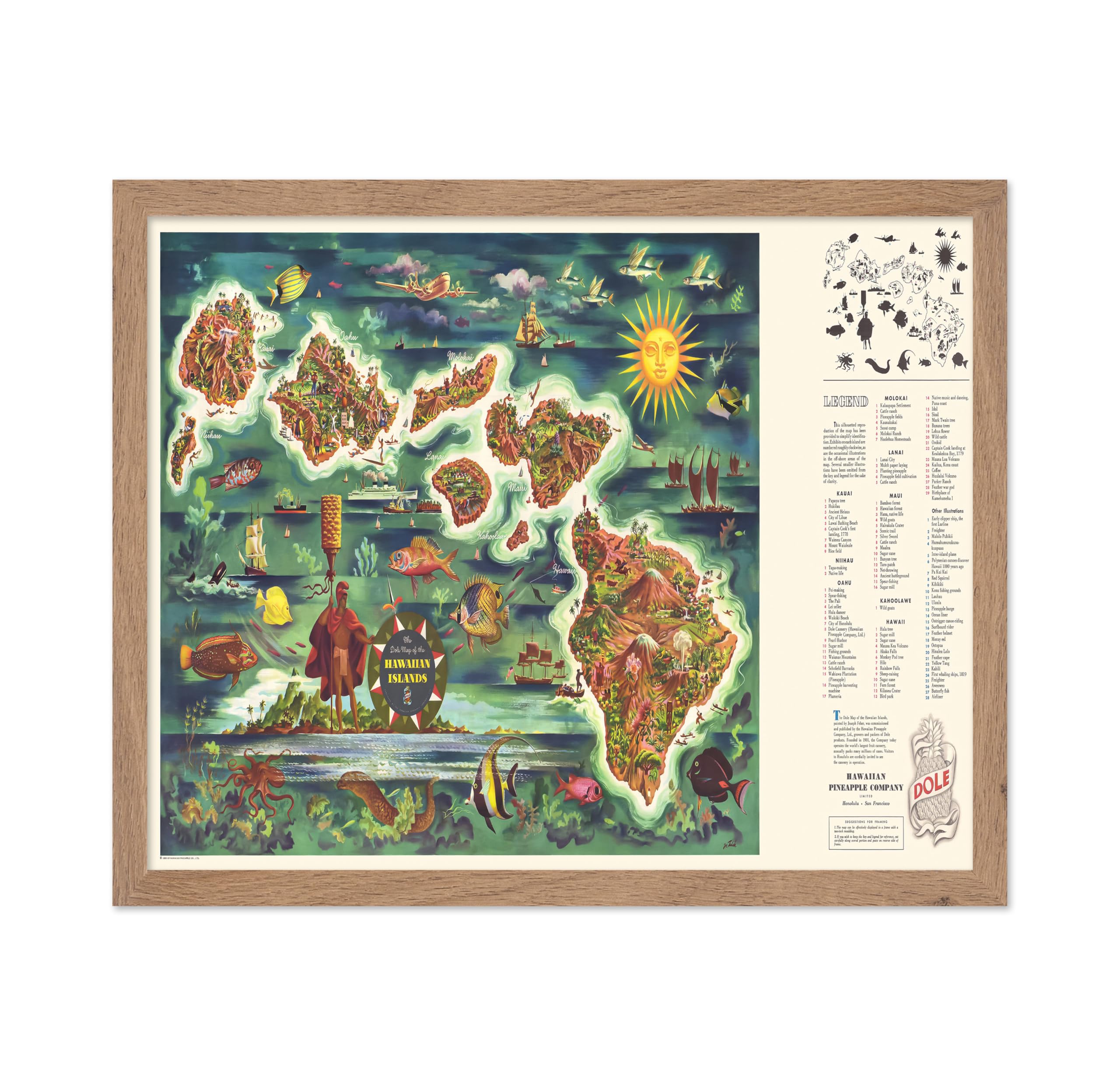 Poster Master Vintage Poster - Retro Dole of the Hawaiian Islands Print - Hawaiian Islands Art - Gift for Him, Her, Travel Lover