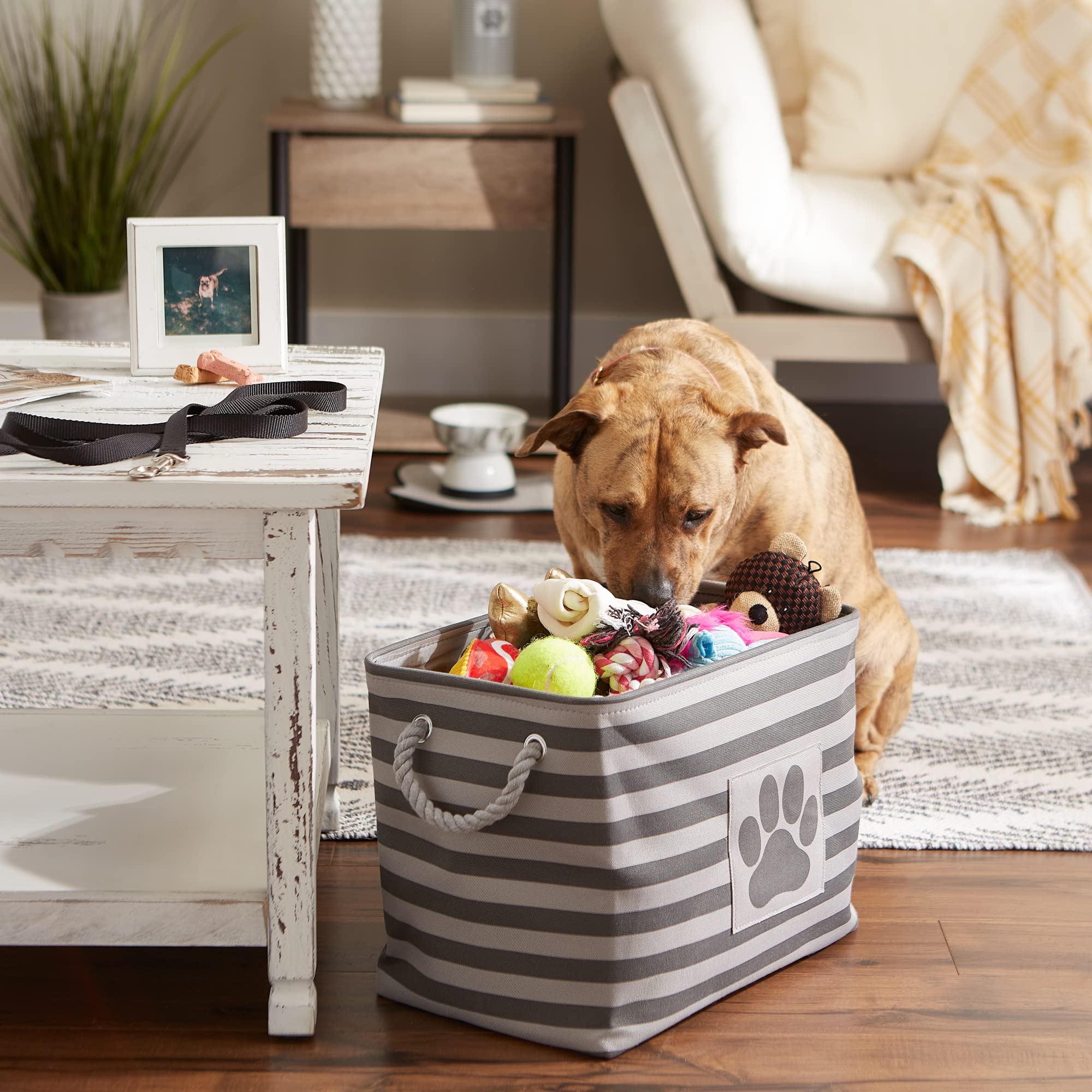 Bone Dry Pet Storage Collection Striped Paw Patch Bin  Medium Rectangle  Gray