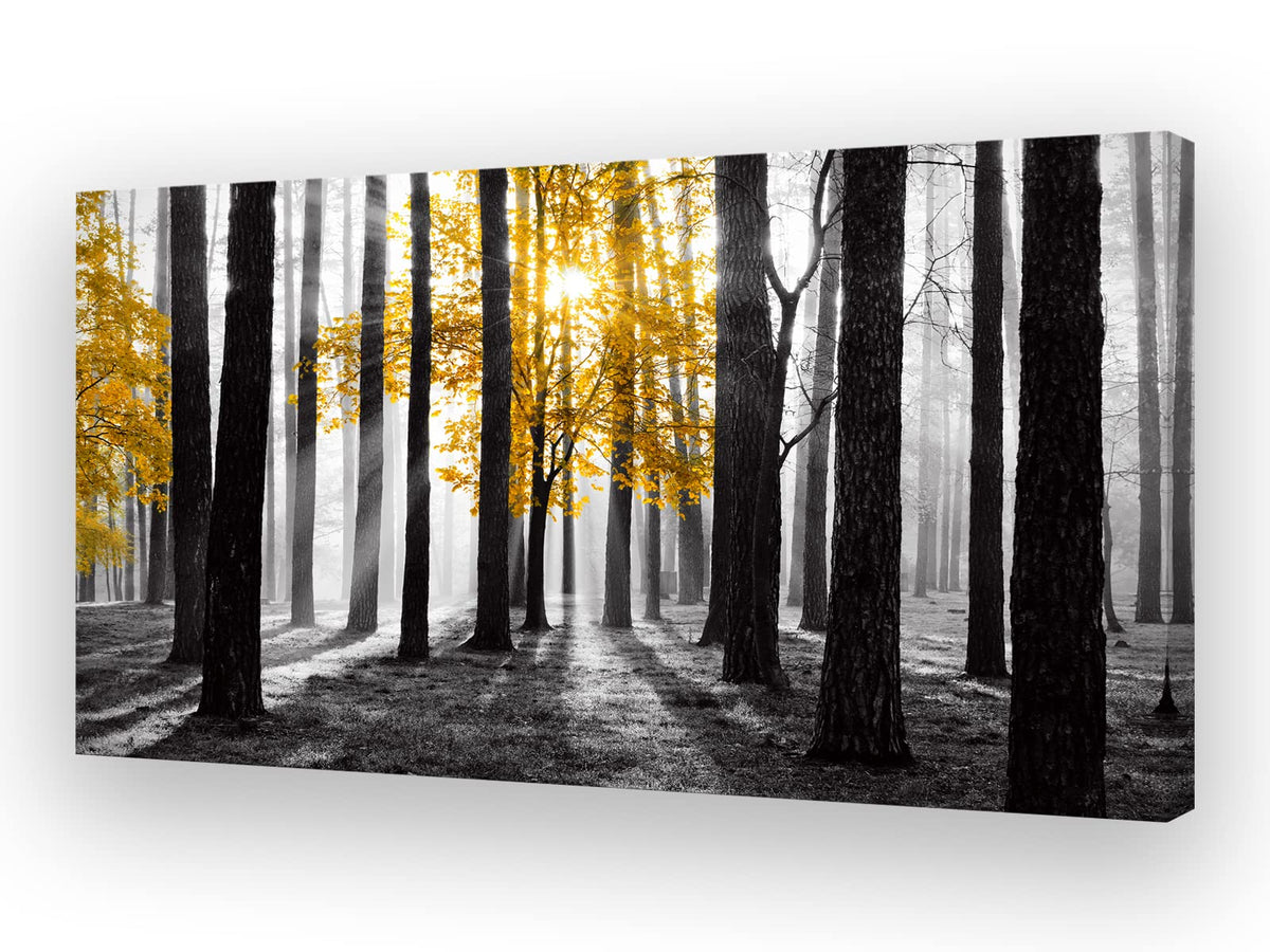 Cao Gen Decor Art S06350 Wall Art Canvas Painting Yellow Tree In Black And White Sunshine Foggy Forest Picture Poster Print Fram