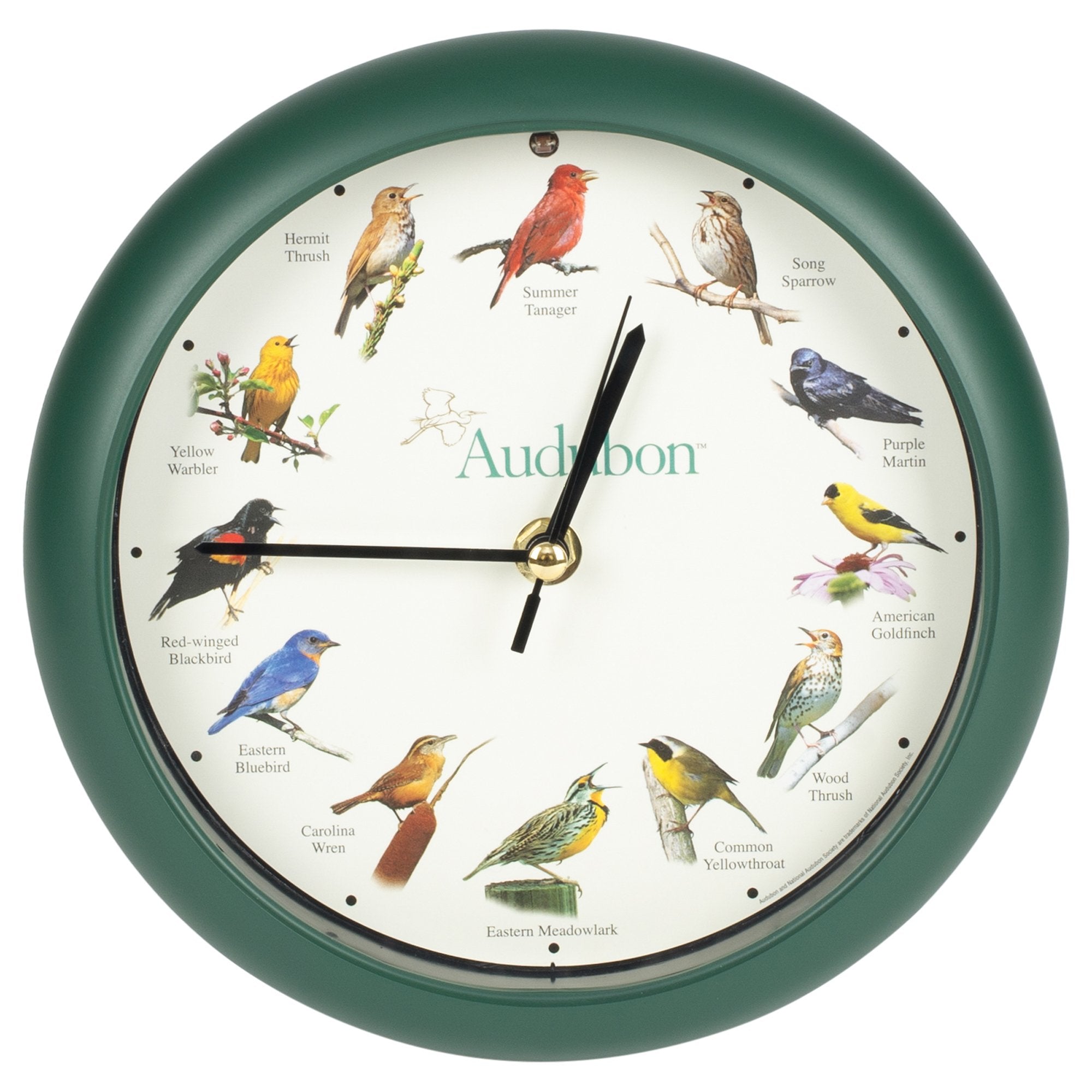 Mark Feldstein & Associates Audubon Singing Bird Wall/Desk Clock, 8 Inch