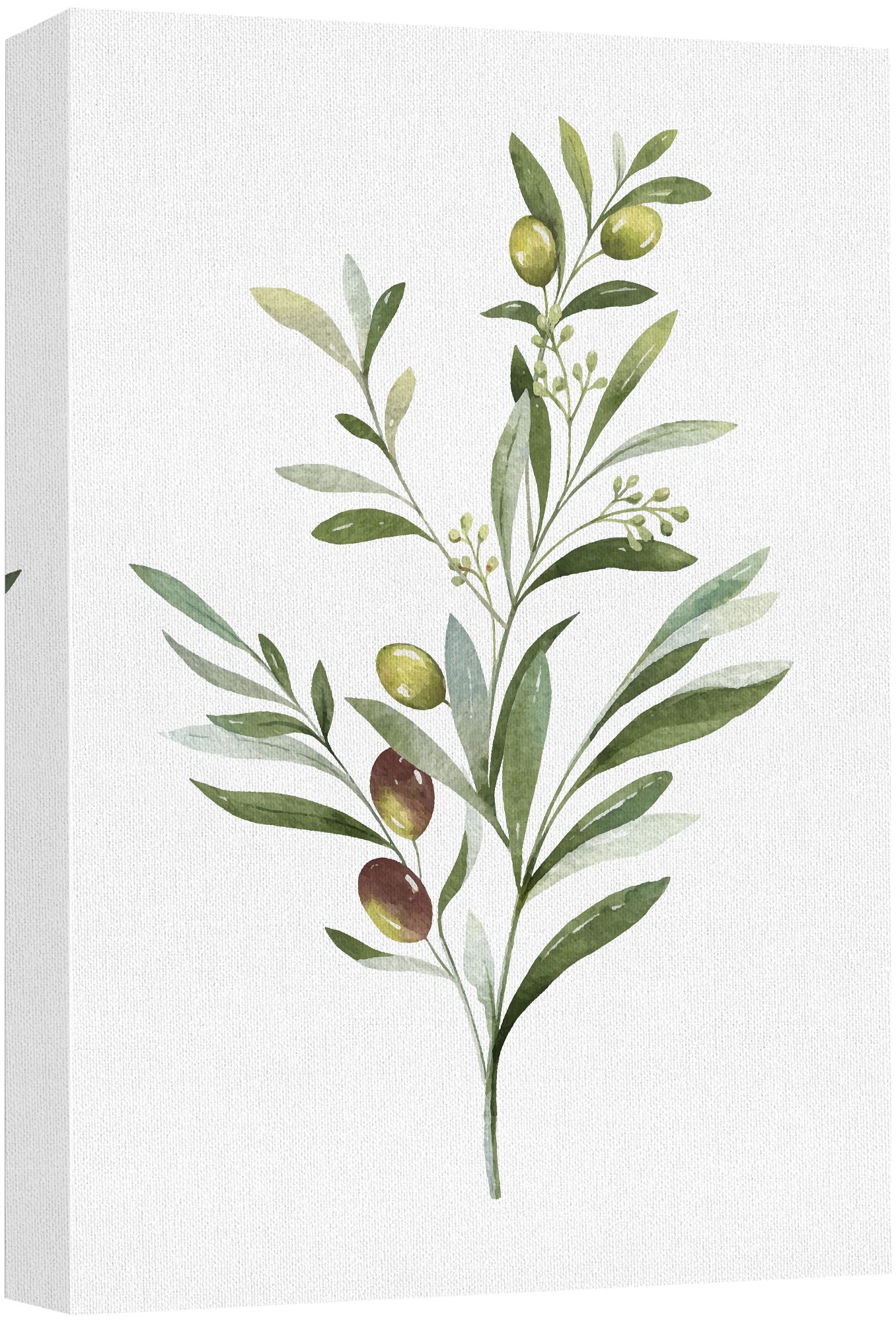 Wall26 Canvas Print Wall Art Olives On Green Watercolor Branch Floral Botanical Illustrations Modern Rustic Zen Relax/Calm Multi