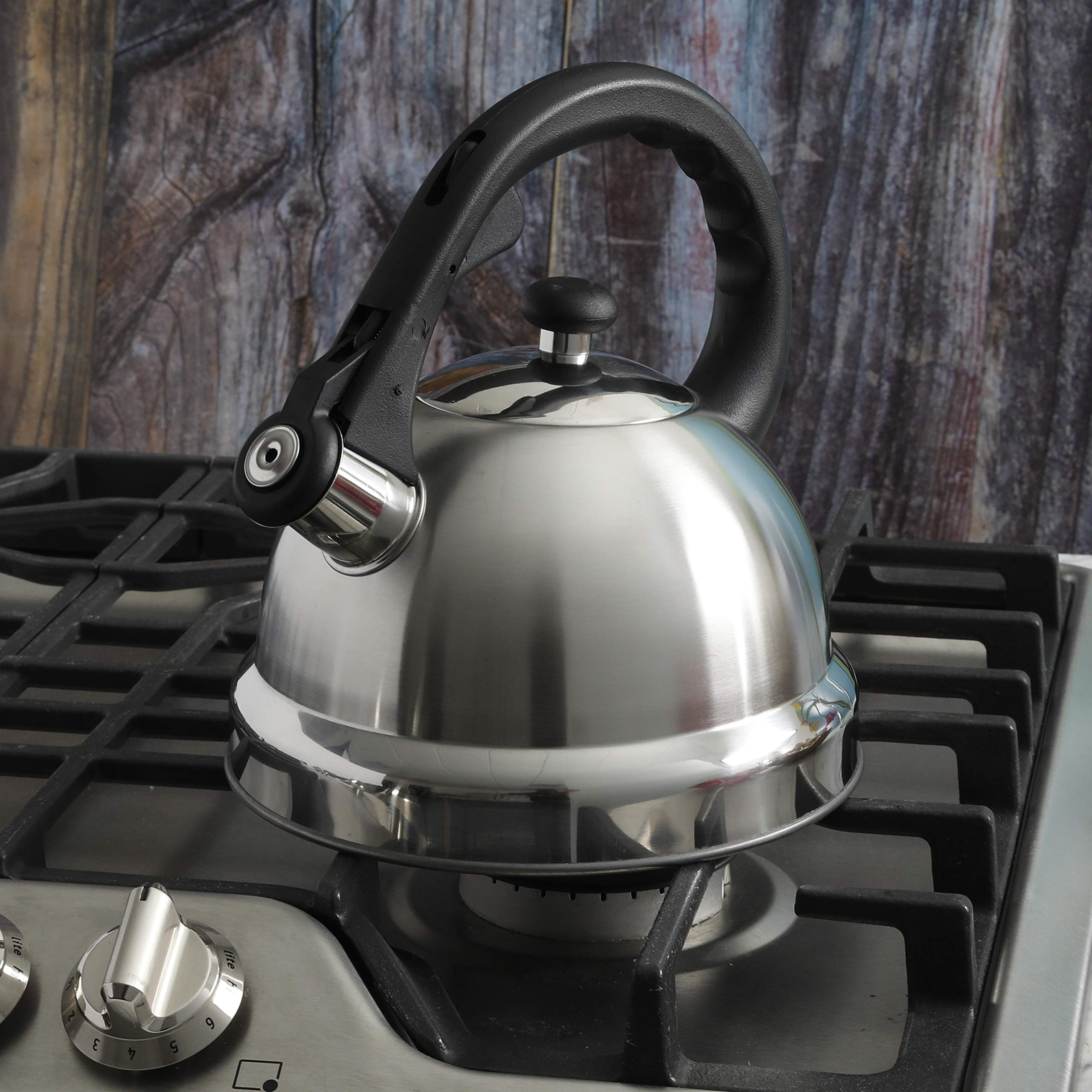 Mr Coffee Claredale Stainless Steel Whistling Tea Kettle  2.2-Quart  Brushed Satin