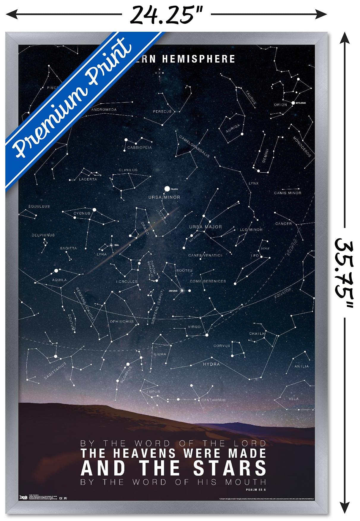 Trends International The Stars Wall Poster, 24.25'' X 35.75'', Multicolor