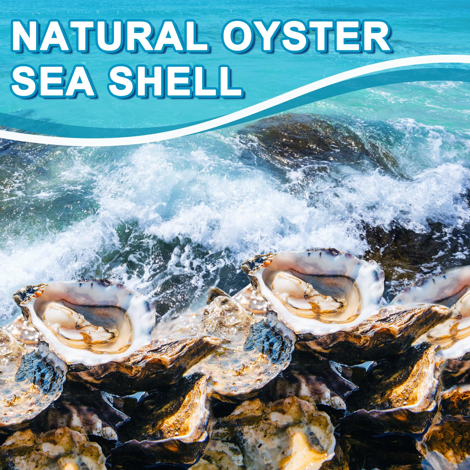 15PCS Oyster Shells 3-4 Concave Oyster Shells for Crafts Natural Oyster Shells Bulk, for Home Vase Filler, Xmas Ornaments, DIY A