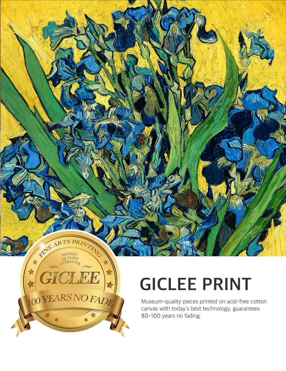 Decorarts - Irises Vase Flower - Vincent Van Gogh. Giclee Print On Canvas With Matching Golden-Relief Framed Wall Art. Picture S