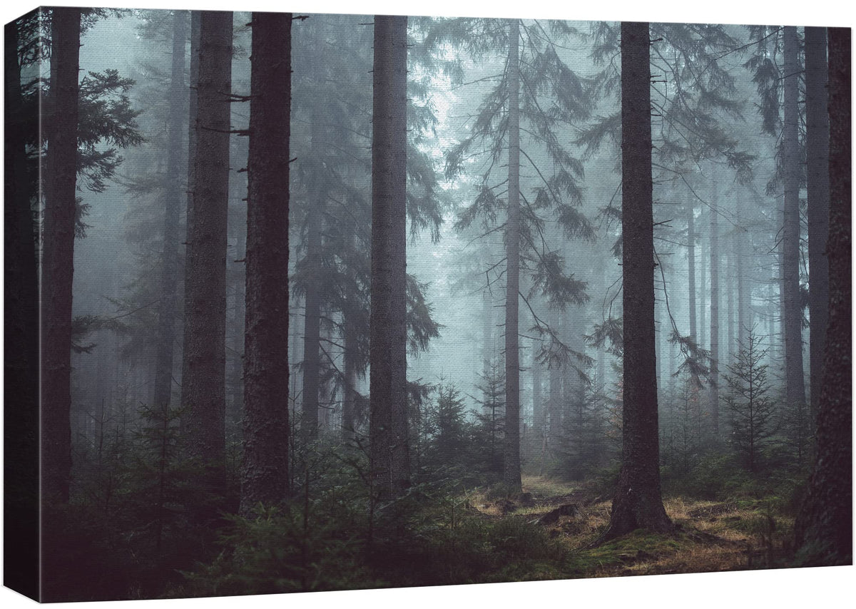 Wall26 Canvas Print Wall Art Pine Tree Forest In The Mist Nature Wilderness Photography Modern Art Rustic Scenic Colorful Multic