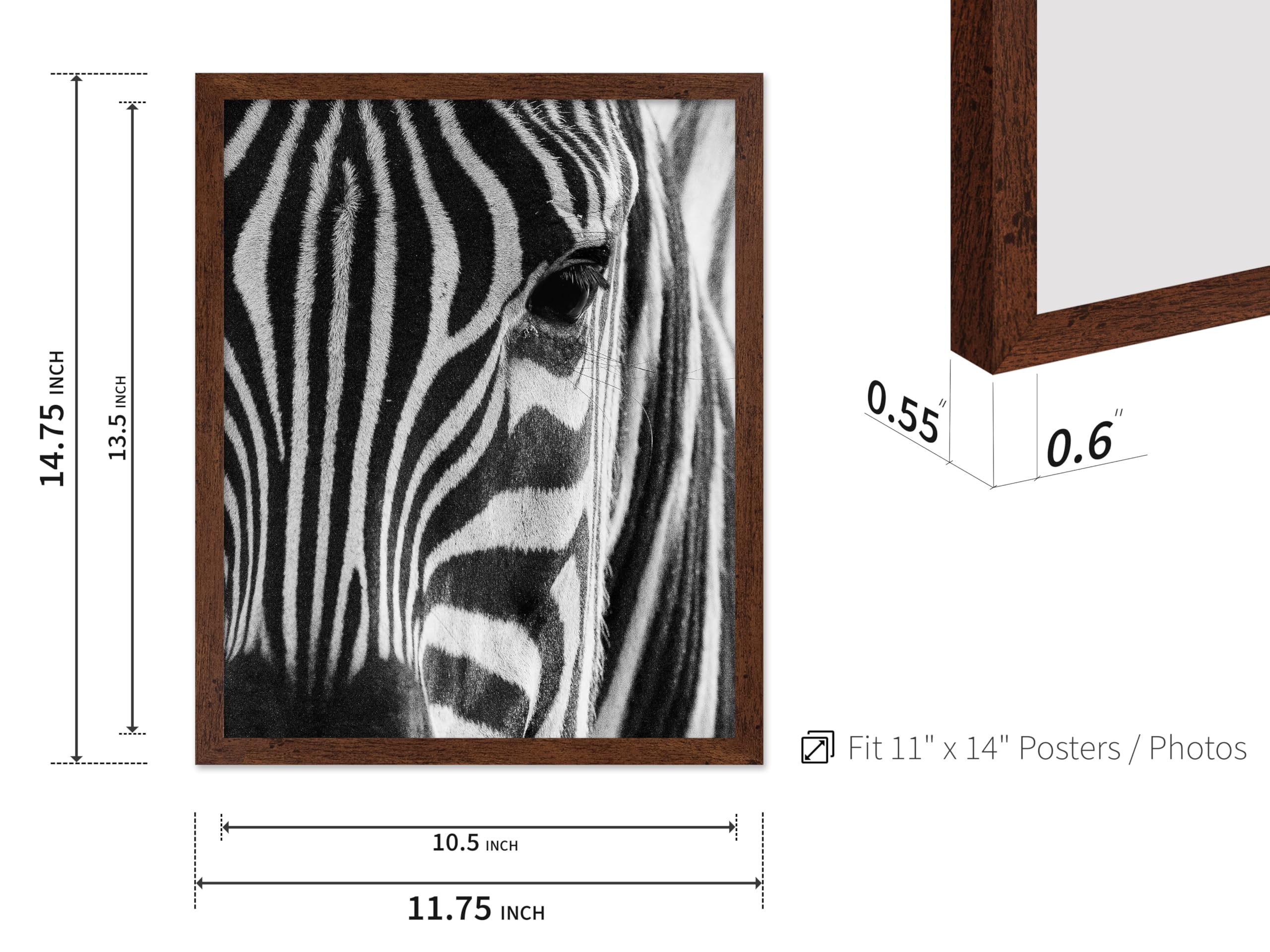 Poster Master Photograph Poster - Retro Animal Print - Striped Zebra, Face Close Up, Safari, Wildlife, Black and White - Gift fo