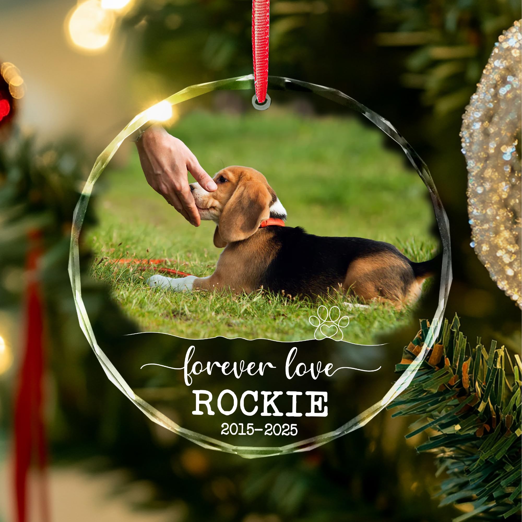 Dog Memorial Ornaments for Christmas Tree 2025 - Personalized Pet Loss Remembrance Gifts - Dog Photo Ornament - Pet Sympathy, in