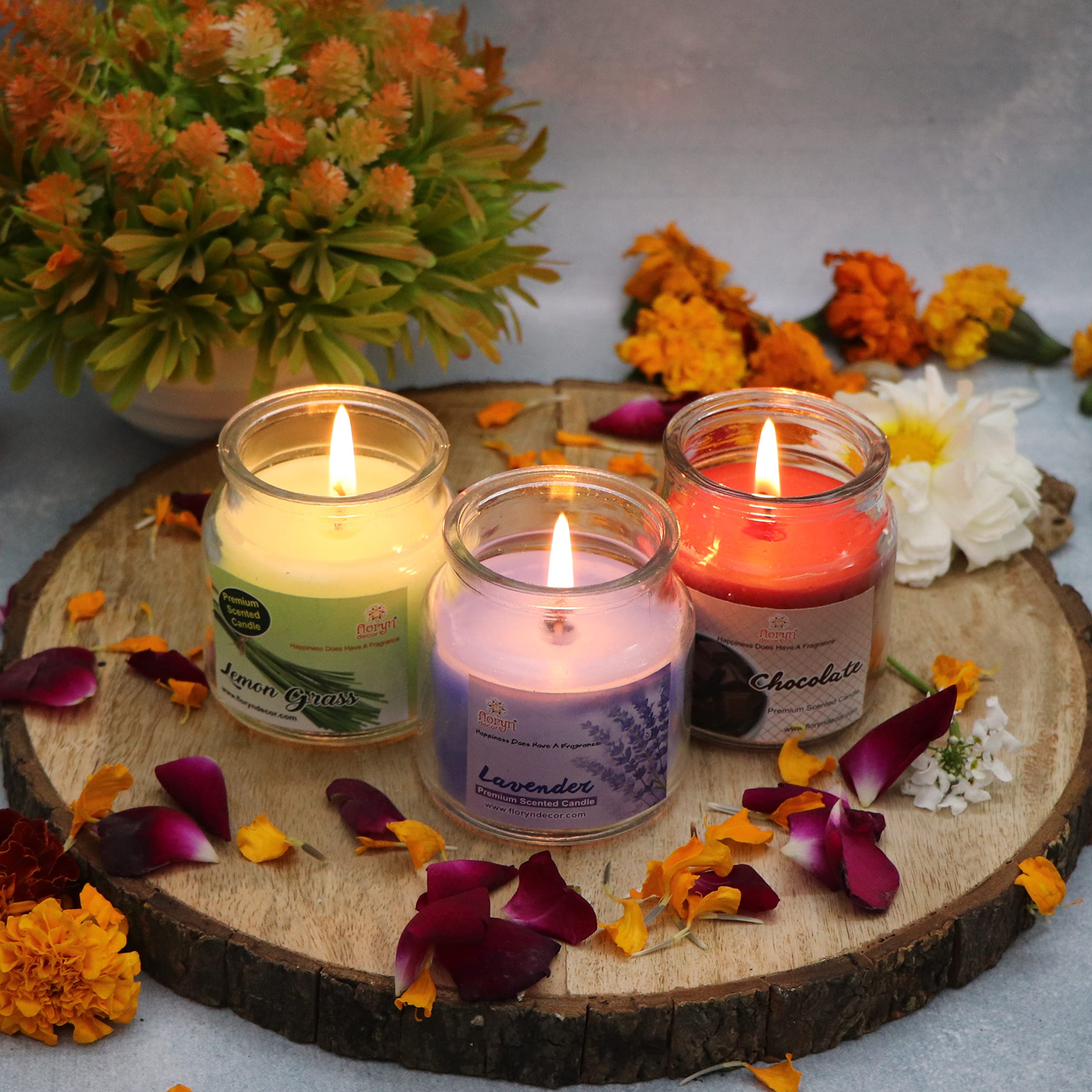 Floryn Decor Scented Cookie Jar Candle | Pack of 3 | Scented Jar Candle (Lavender | Lemon Grass | Chocolate)