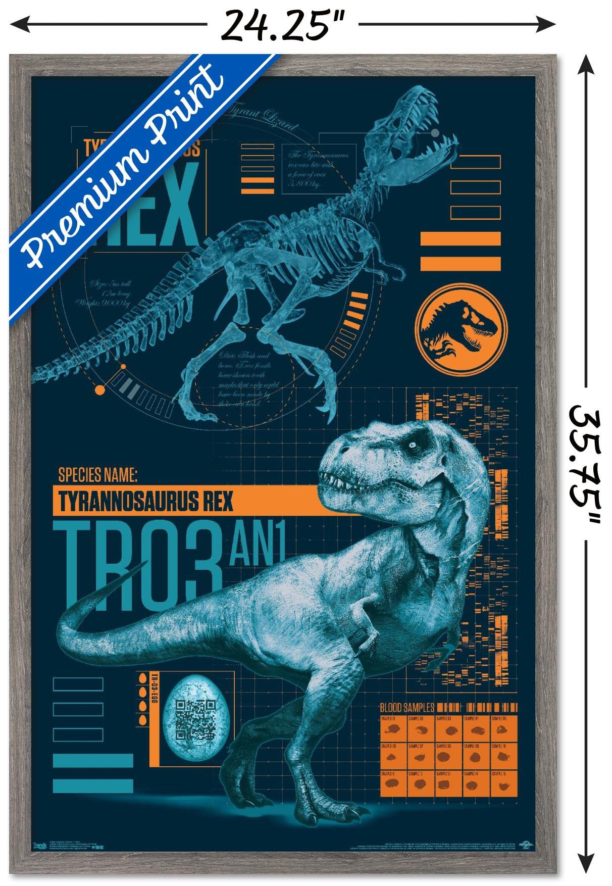 Trends International Jurassic World: Fallen Kingdom - T-Rex Wall Poster, 22.375'' X 34'', Barnwood Framed Version