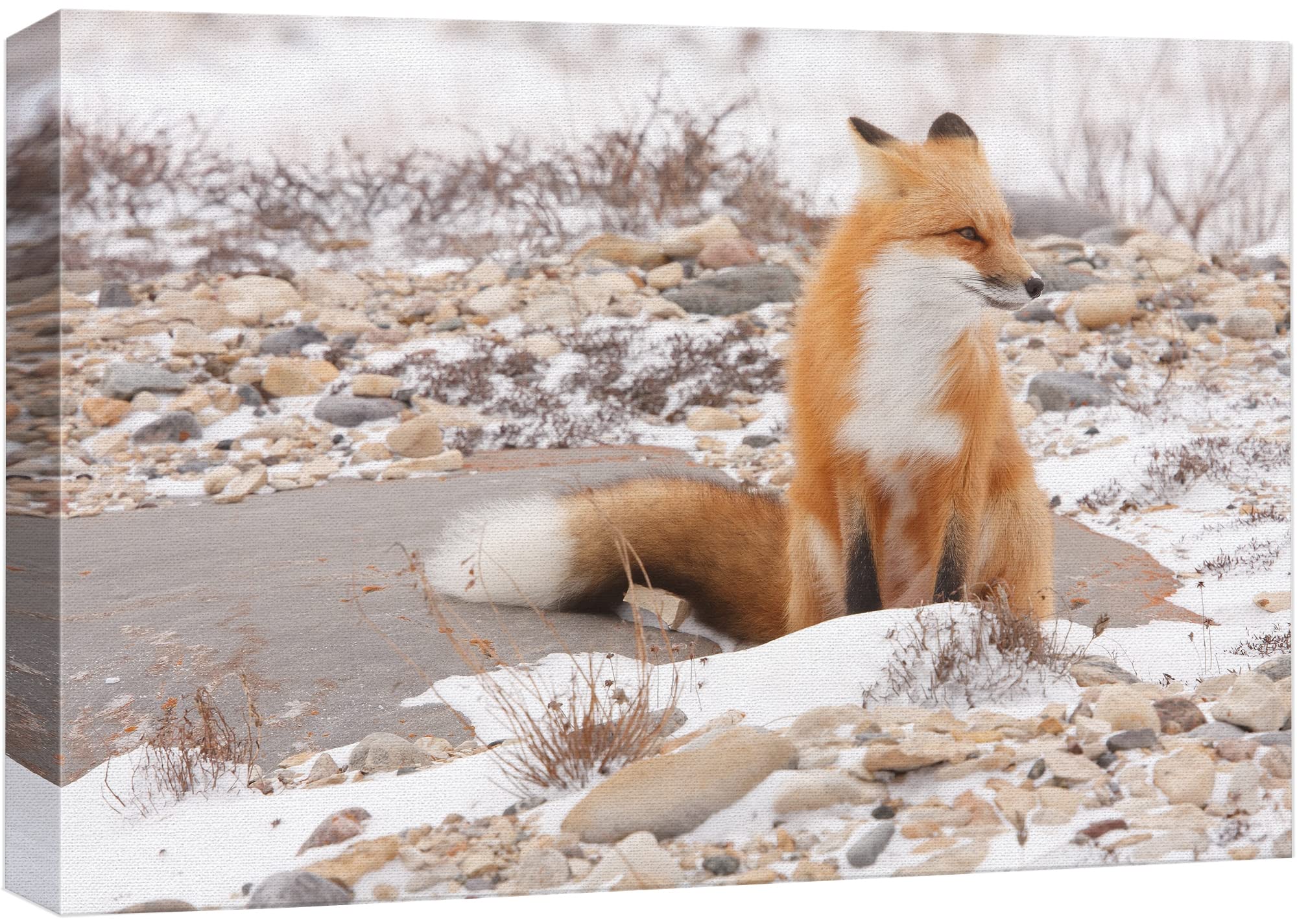 Wall26 Canvas Wall Art - Be A Unicorn In A Field Of Horses - Giclee Print Gallery Wrap Modern Home Art Ready To Hang (12'' X 18'