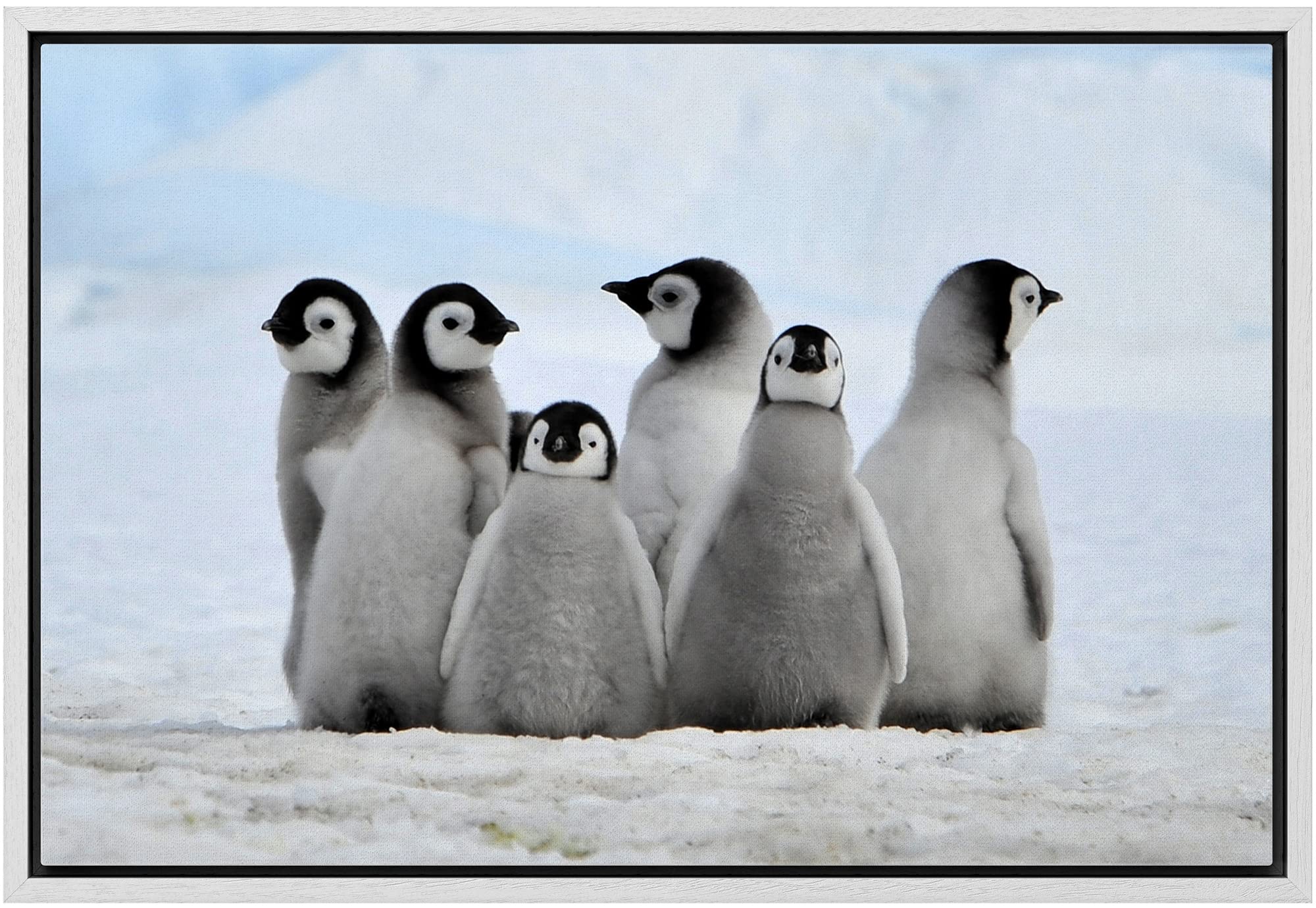 Wall26 - Framed Canvas Wall Art - Little Penguins - Giclee Print Gallery Wrap Modern Home Art Ready To Hang - 24''X36'' White