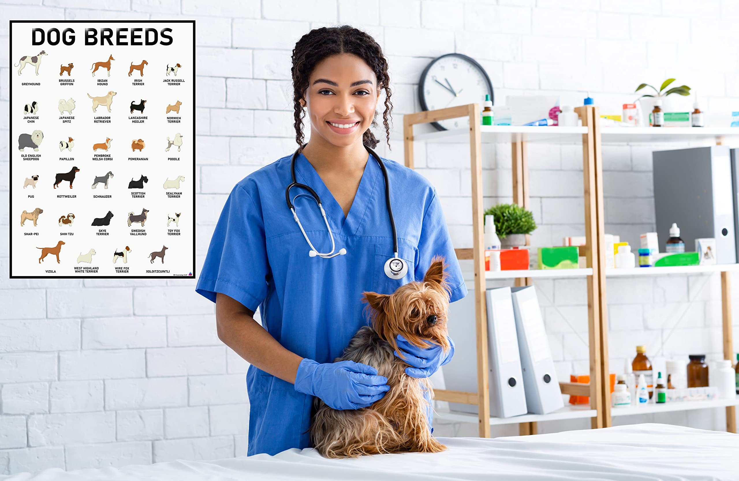 3D Learning Llf Dog Breeds Posters Set 58 Breeds For Lovers, Professionals Wall Art & Decor For Bedrooms, Clinic, Classroom