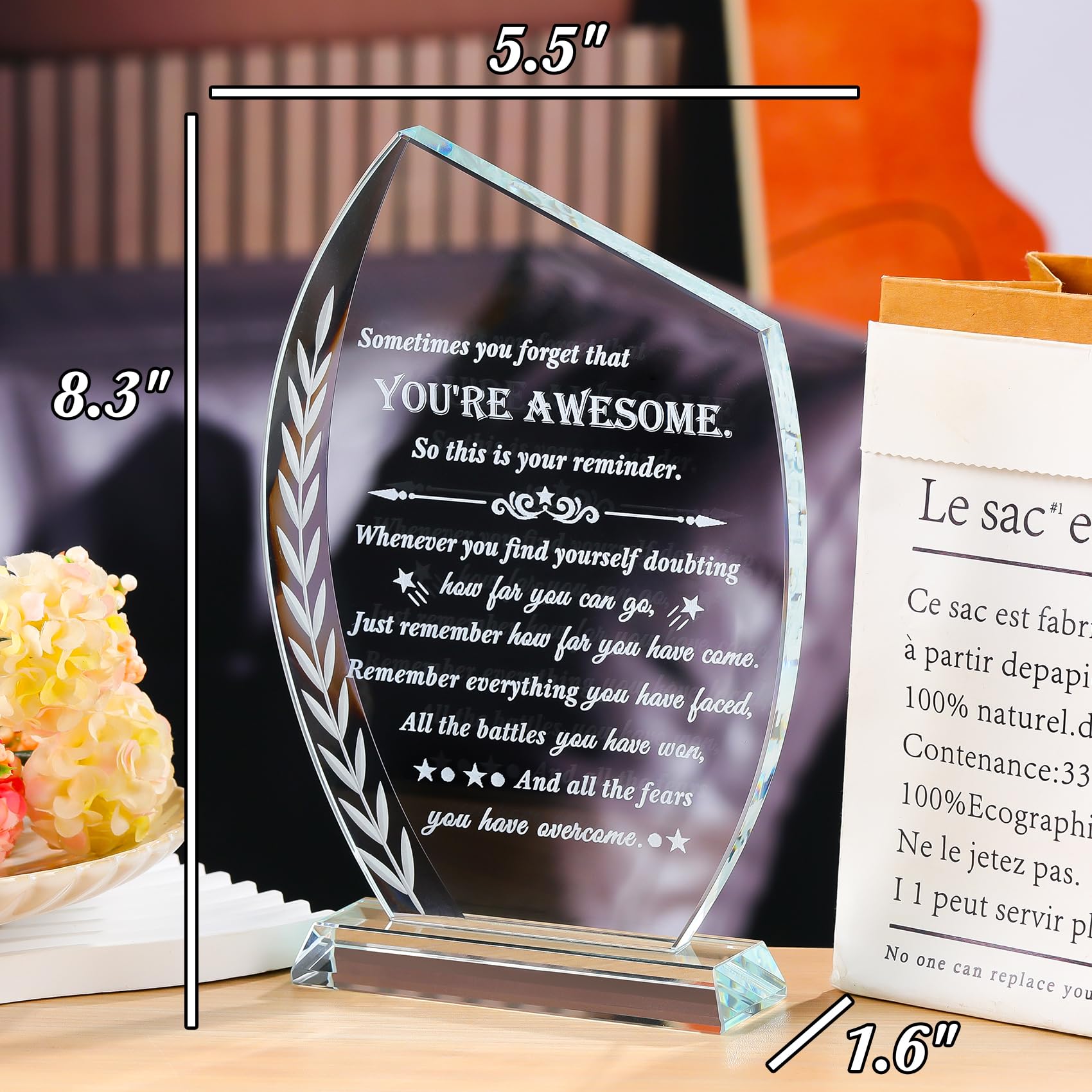 Movdyka Inspirational Gifts for Women Men - Motivational Crystal Laser Engraved Plaque Encouragement Gifts for Daughter Son Frie