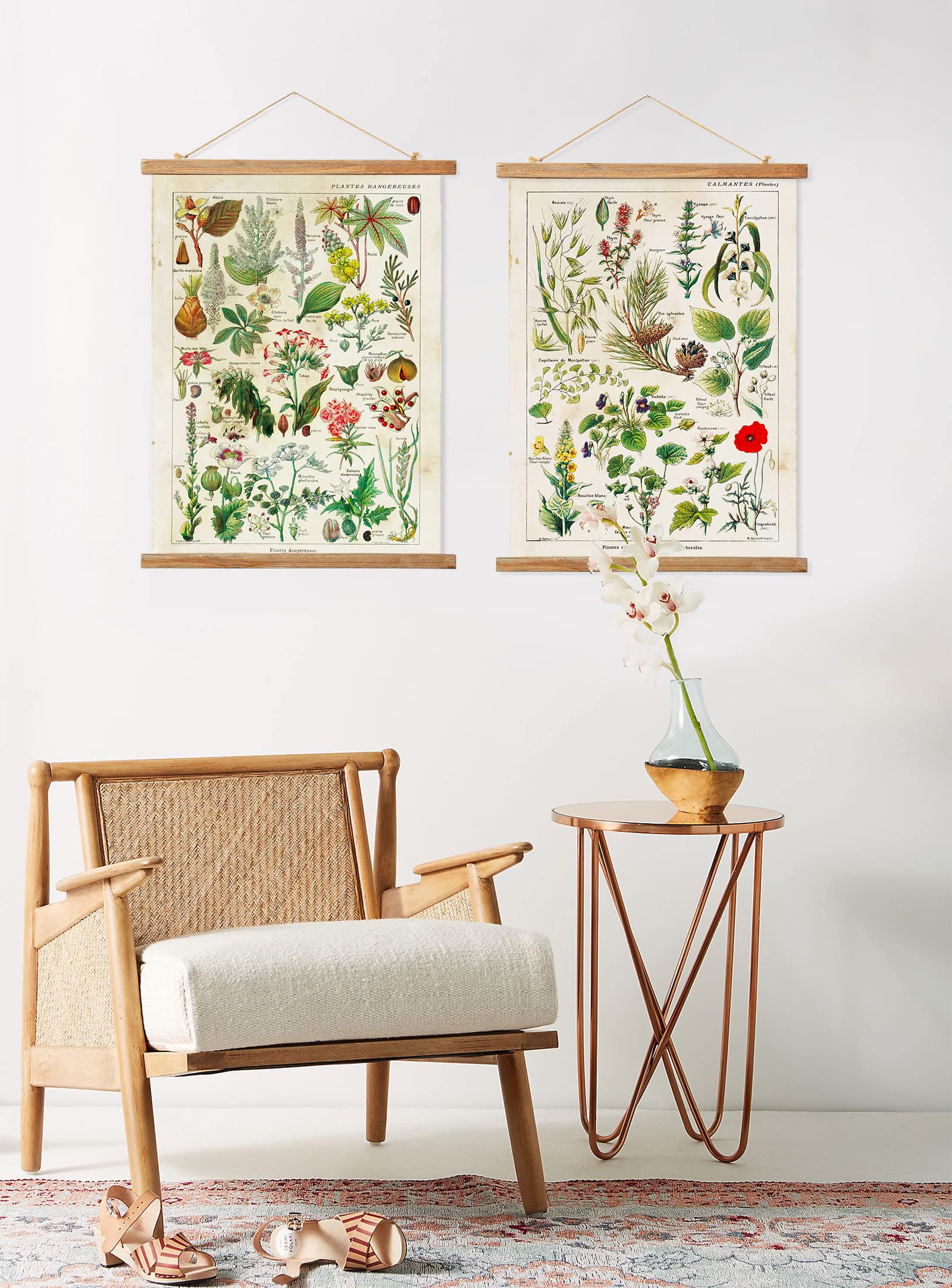 2 Pack Vintage Botanical Plant Poster Hanger Frame, Retro Style Wall Art Prints, Printed On Linen With Natural Wooden Frames, Fo