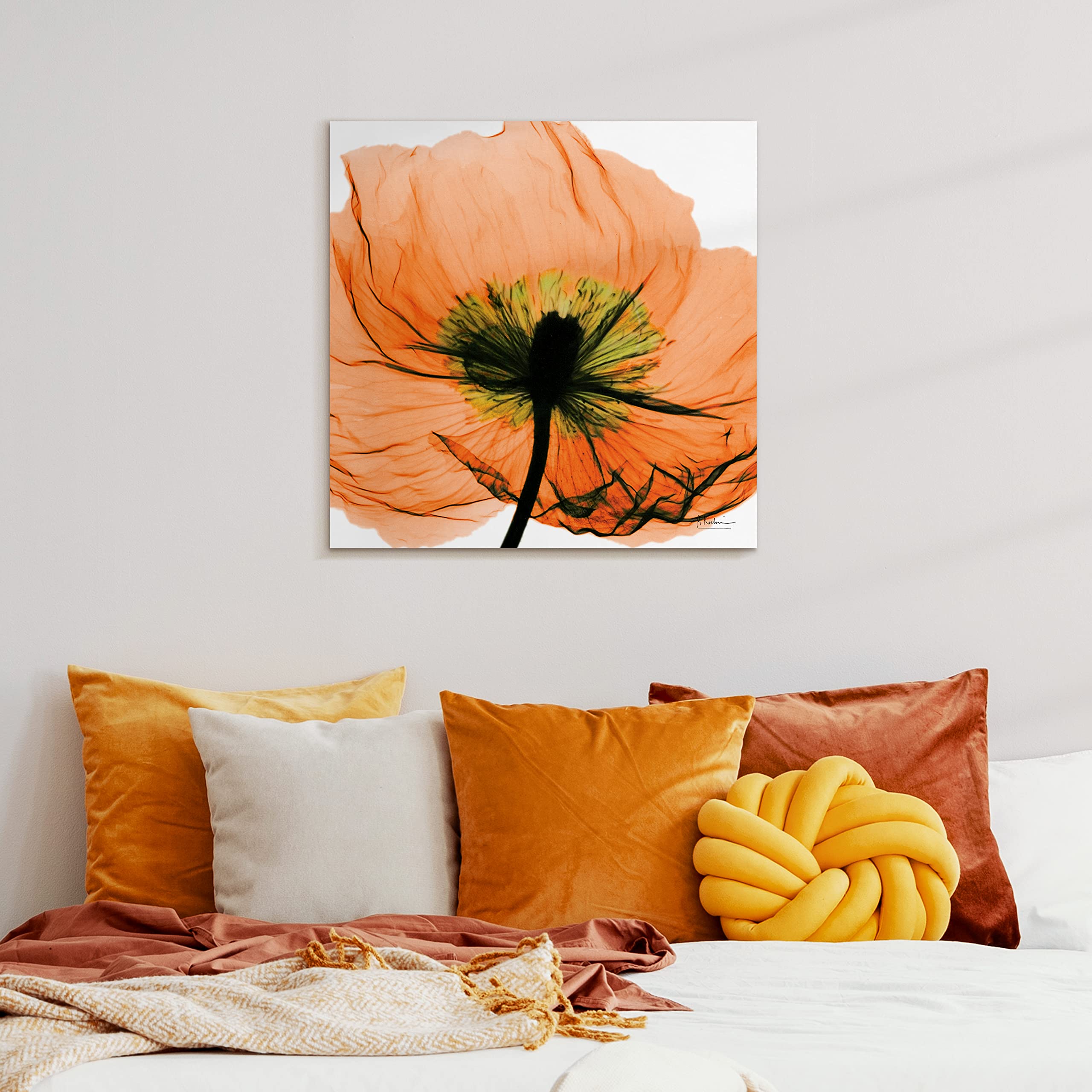 Empire Art Direct Frameless Free Floating Tempered Glass Panel Graphic Wall Art Ready To Hang, 24'' X 24'', Poppy Orange