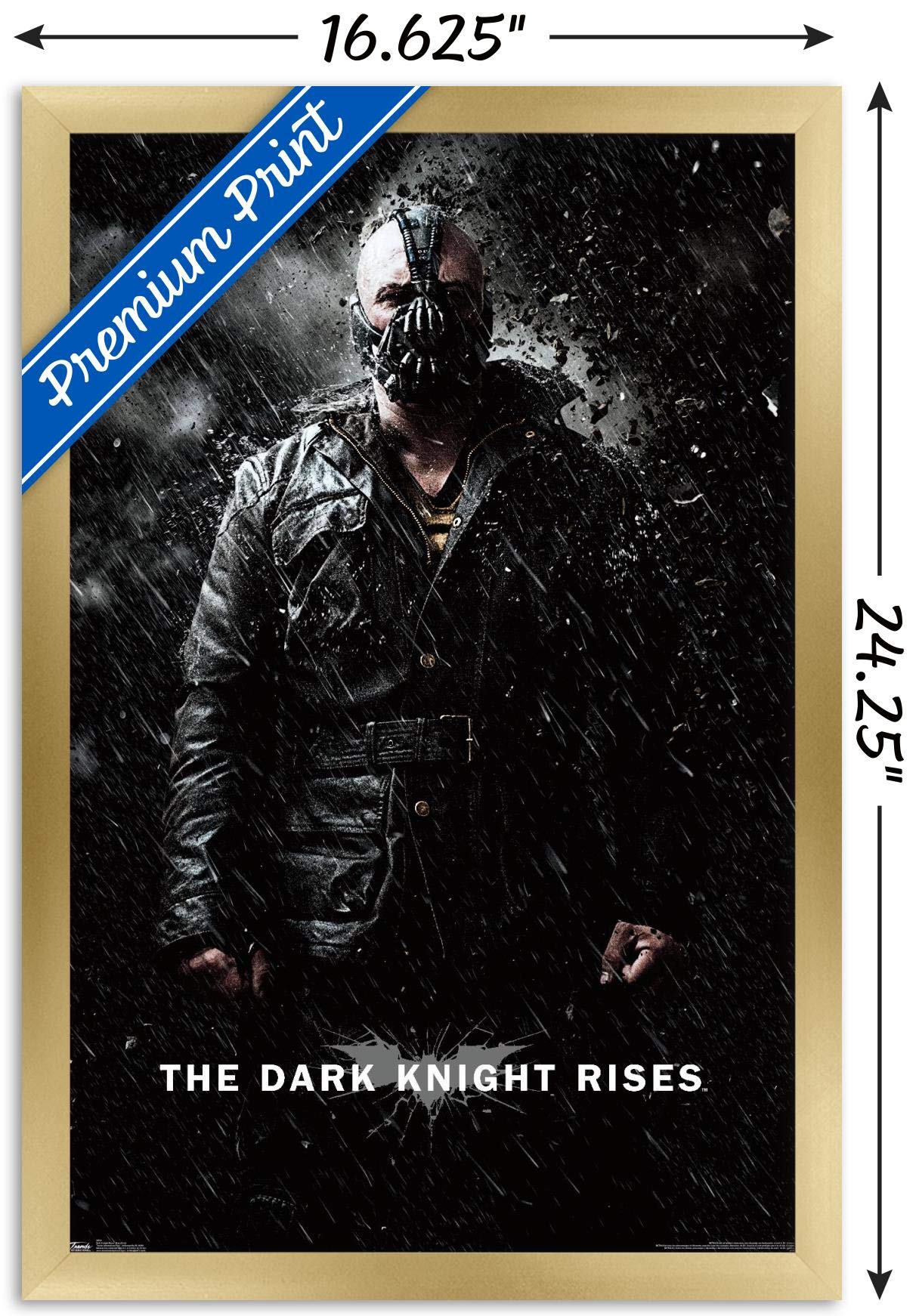Trends International Dc Comics Movie - The Dark Knight Rises - Bane Rain Wall Poster, 14.725'' X 22.375'', Gold Framed Version