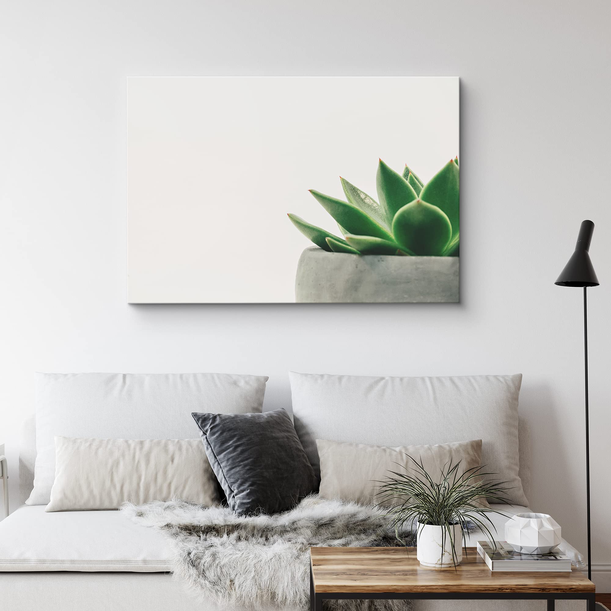 Nwt Canvas Print Wall Art Green Echeveria Cactus Closeup Floral Succulent Photography Modern Art Southwest Scenic Relax/Calm Mul