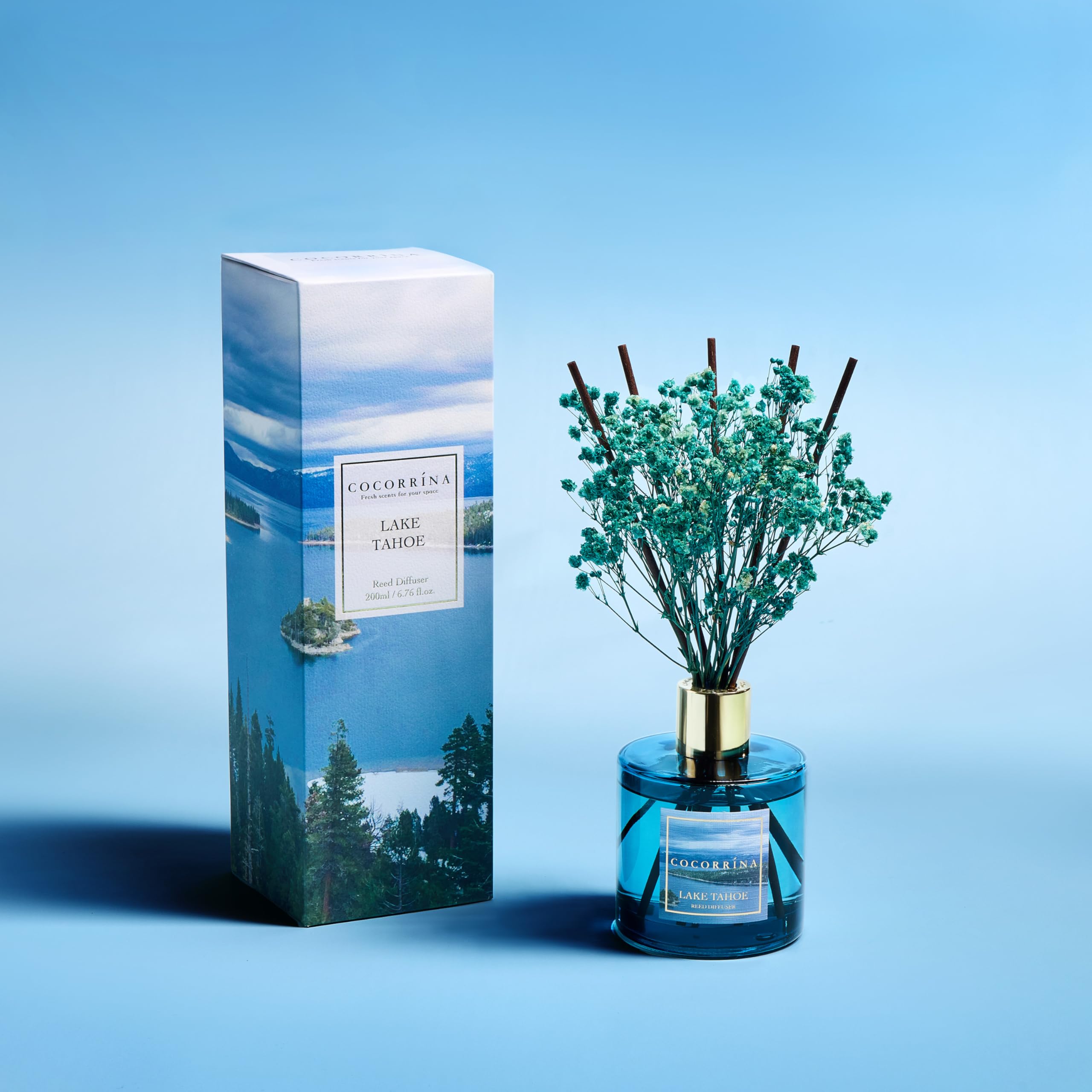 COCORR  NA Reed Diffuser - Lake Tahoe 6.7 Fl.oz Reed Diffuser Set with 8 Sticks & Preserved Babys Breath, Reed Diffuser for Hom