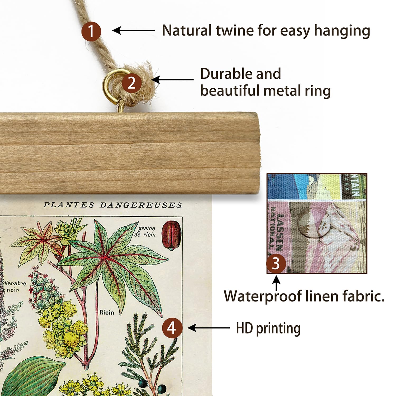 Xiaoaika 2 Pack Vintage Plant Posters: Medicinal And Poisonous Plants - Retro Style Wall Art With Wooden Frames For Home Classro