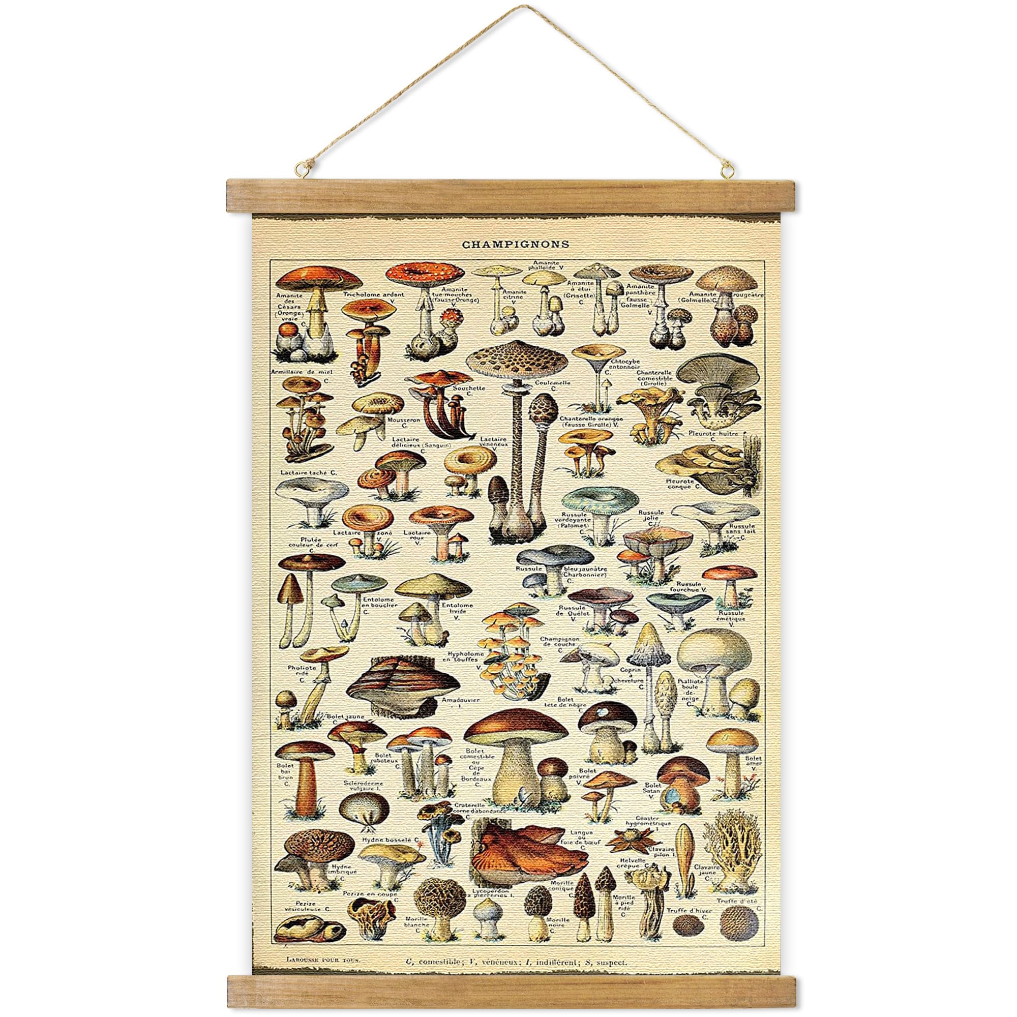 Aboby Vintage Hanging Posters, Decorative Mushroom Wall Art Prints, Printed On Linen With Wood Frames, Ready To Hang