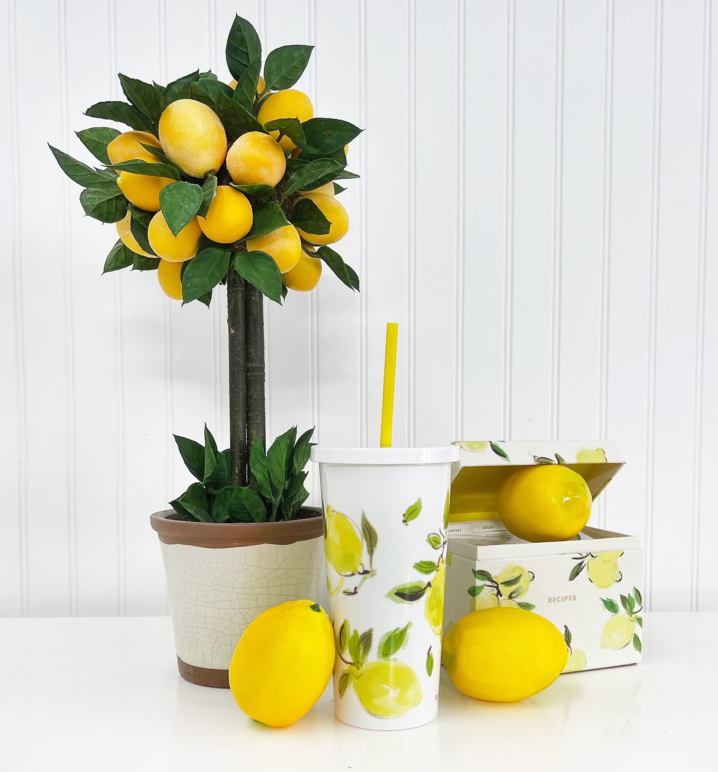 Kate Spade New York Insulated Tumbler with Reusable Straw  20 Ounce Travel Cup with Lid  Lemons