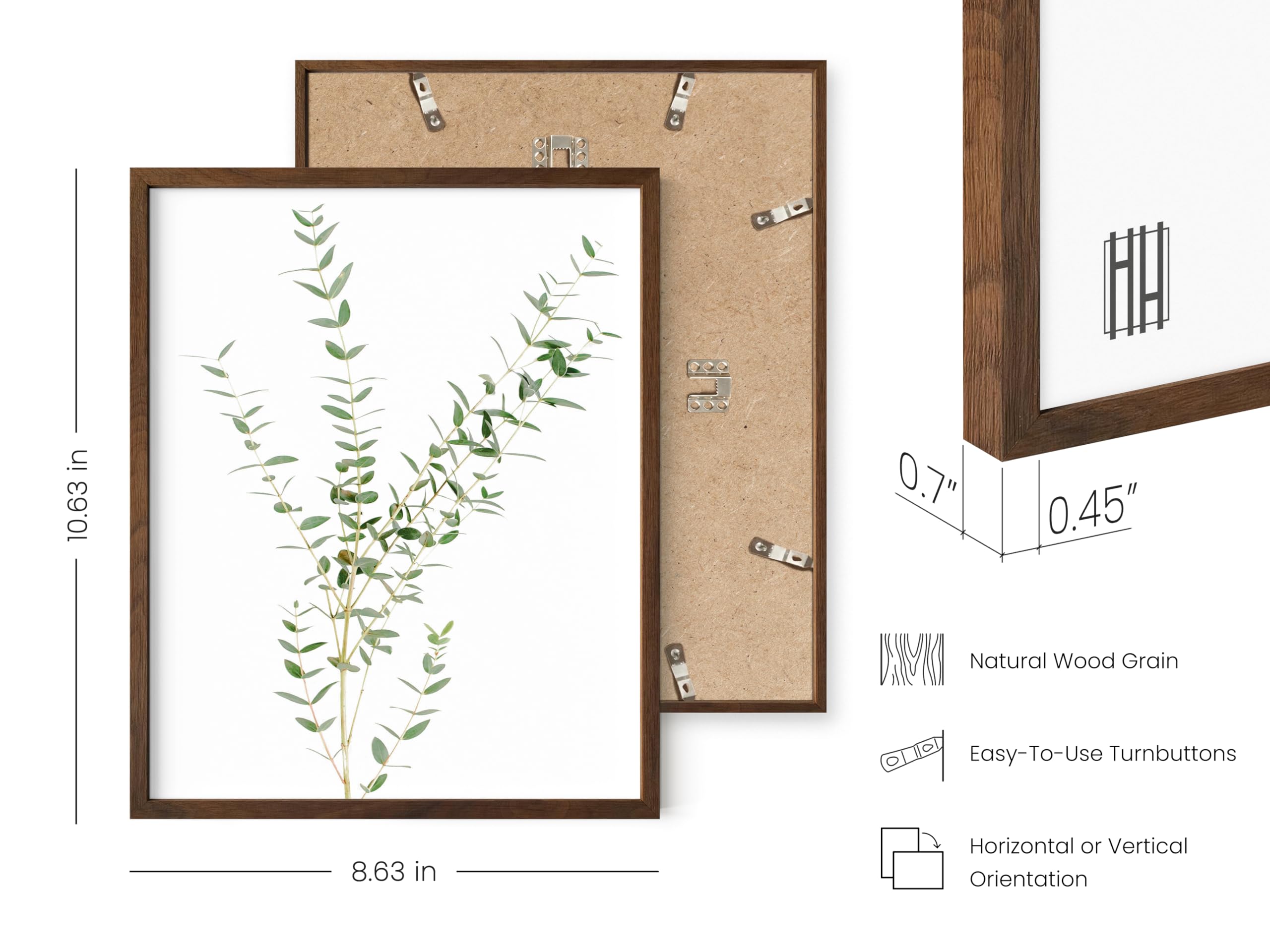 Haus And Hues Botanical Plant Wall Art Prints - Set Of 4 Plant Wall Decor Prints, Floral Kitchen, Flower Leaves Wall Art, Boho L