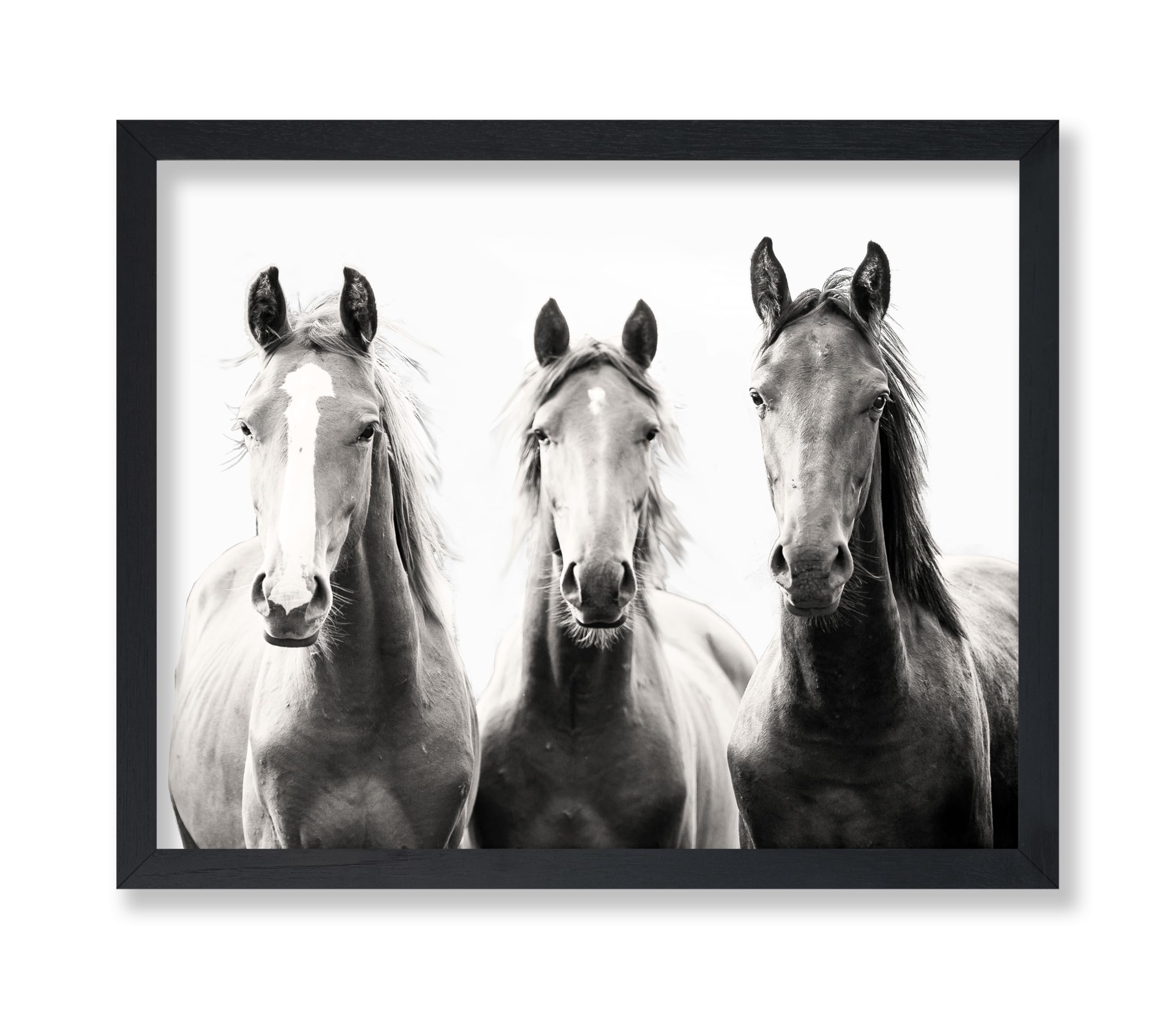 Poster Master Vintage Photograph Poster - Retro Minimalist Print - Gift for Artist, Friend - Wild Horses, Black and White, Sepia