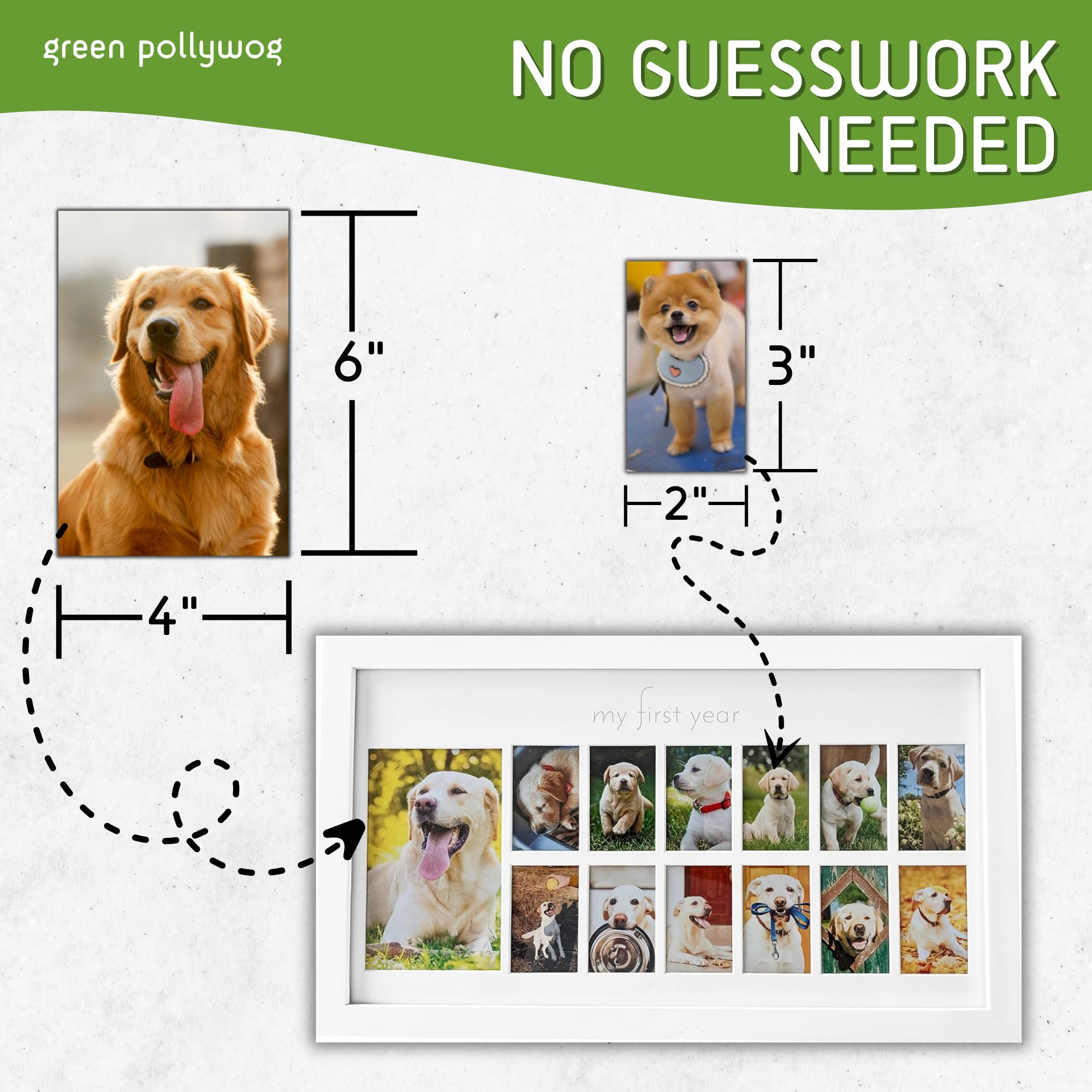Green Pollywog  My First Year Picture Frame for Dogs  12 Month Photo Frame  White Wood Frame  Fur Baby Frame  Fur Baby Milestone Picture Display  Dog Keepsake Frame  Dog Birthday Gift