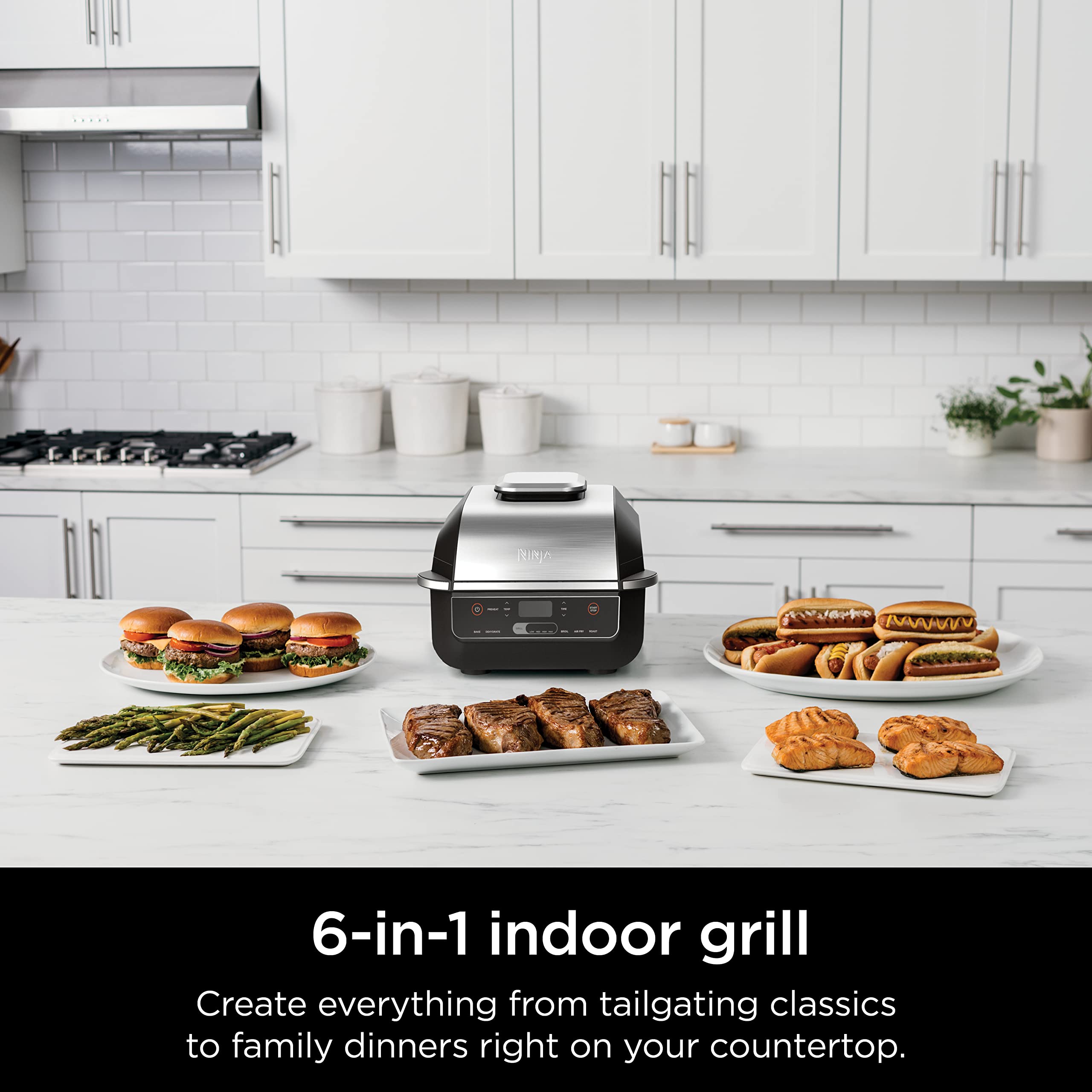 Ninja Eg201 Foodi 6-In-1 Indoor Grill With Air Fry, Roast, Bake, Broil, & Dehydrate, 2Nd Generation, Dishwasher Safe, Black/Silv