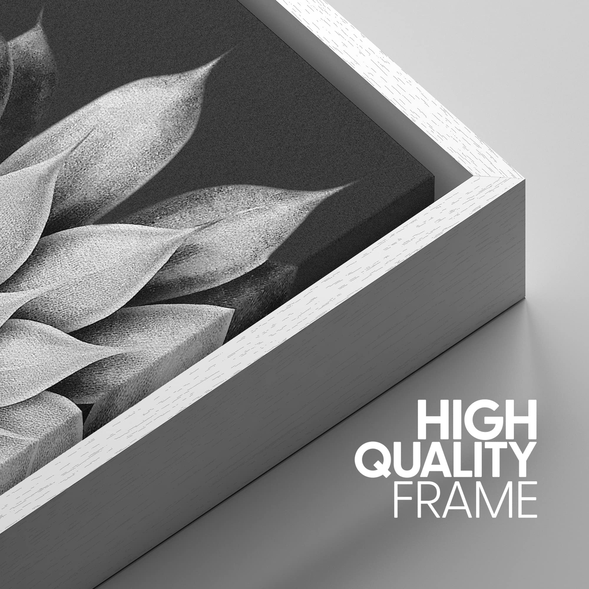 Signwin Framed Canvas Print Wall Art Trio Of Echevaria Succulents Floral Plants Photography Modern Art Minimalist Closeup Dramat