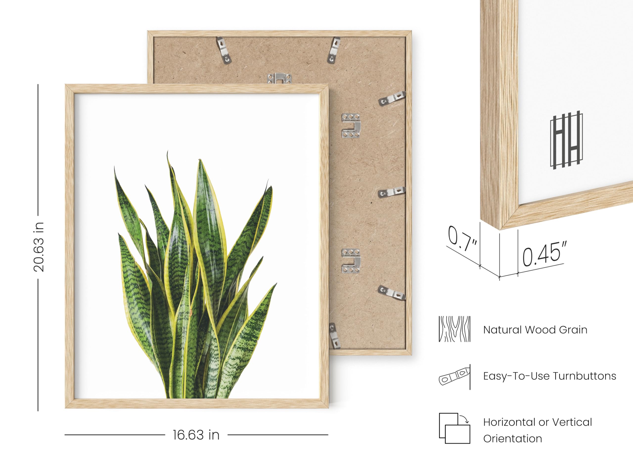 Haus And Hues Plant Wall Art - Set Of 4 Plant Pictures Wall Art And Green Wall Art Collection, Botanical Prints, Sage Green Leav