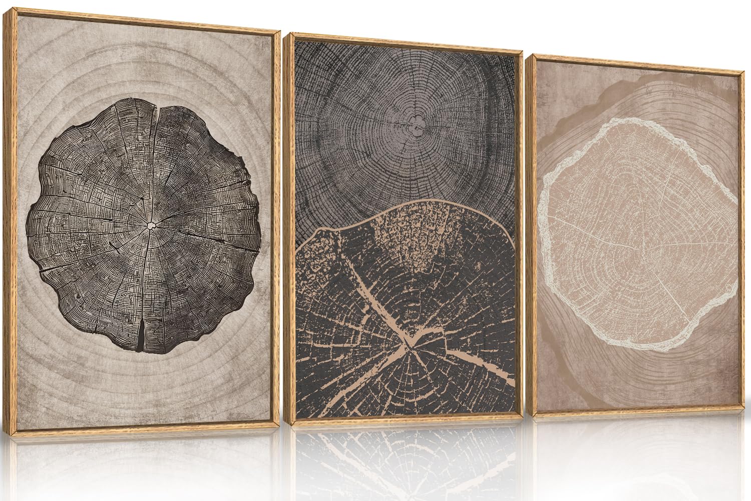 HOURIA Large Neutral Tree Rings Framed Canvas Wall Art Set,Modern Antique Wood Wall Decor,Brown Gray Vintage Wall Painting,Natur