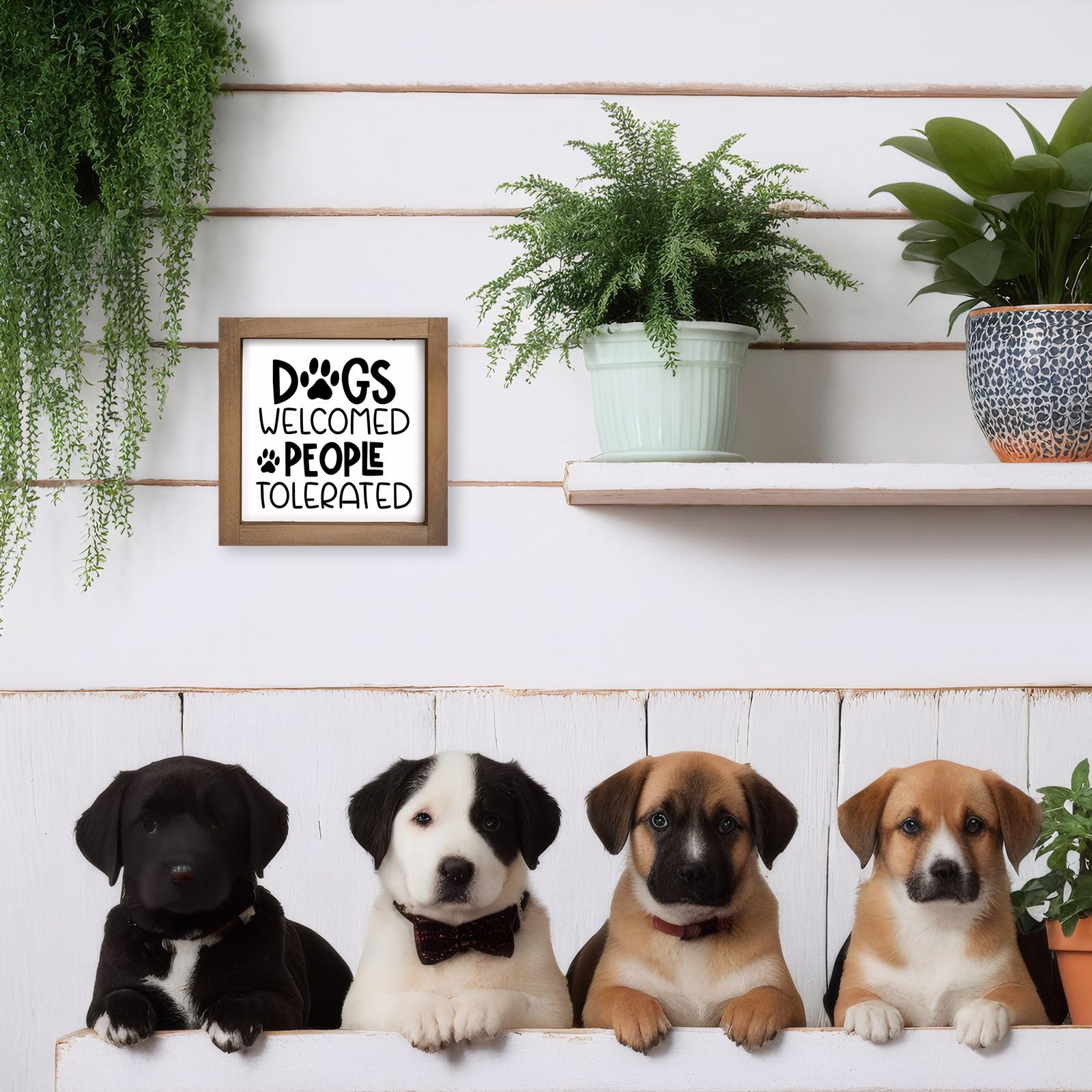 pechpell Wooden Dogs Welcome People Tolerated Sign, 6 Inch Dog Decor for Home, Room Bathroom Bedroom House Wall Table Shelf Rust