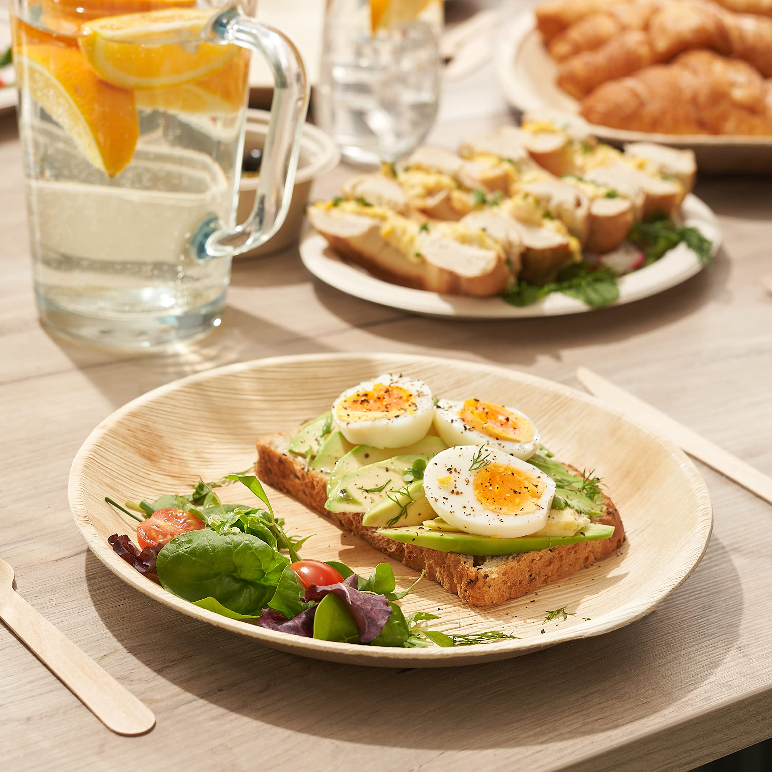 Pack Palm Leaf Plates Biodegradable, Disposable, Eco-Friendly Picnic & Outdoor Tableware, Microwave Safe (10'' Round)