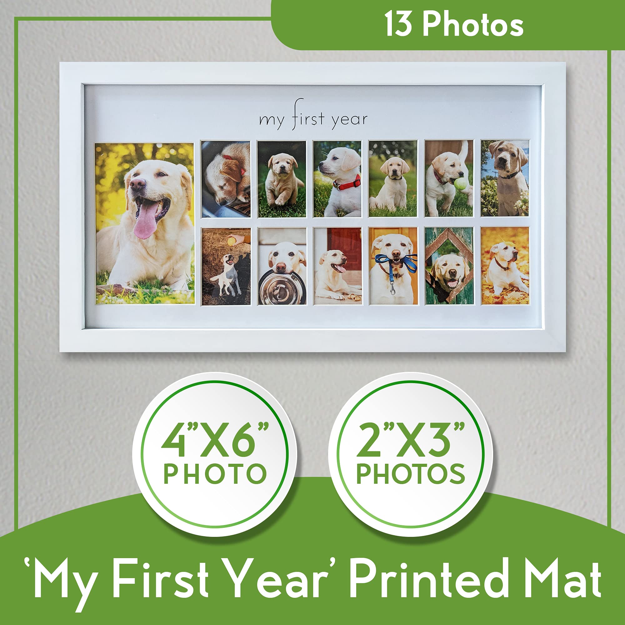 Green Pollywog  My First Year Picture Frame for Dogs  12 Month Photo Frame  White Wood Frame  Fur Baby Frame  Fur Baby Milestone Picture Display  Dog Keepsake Frame  Dog Birthday Gift