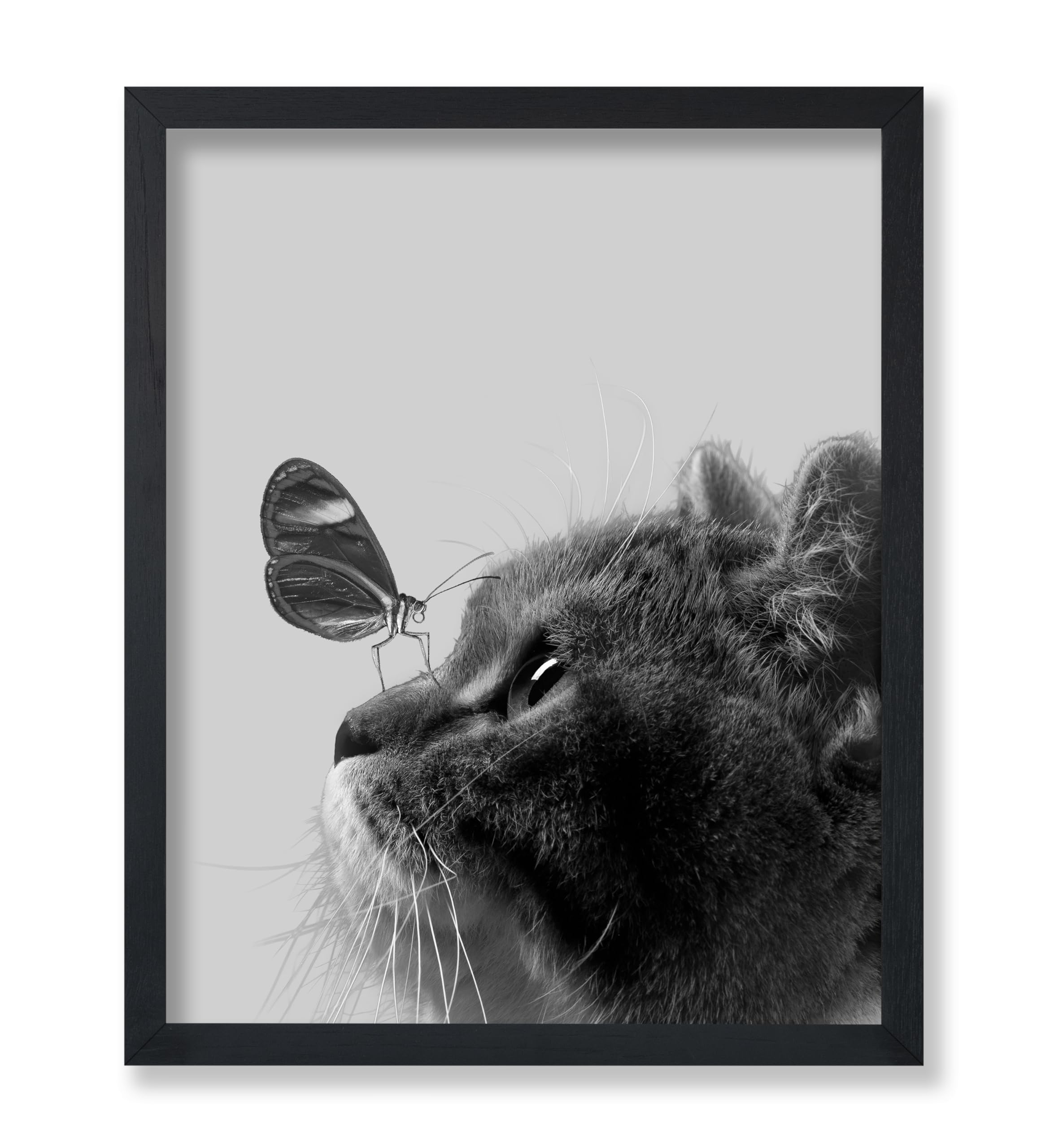 Poster Master Butterfly on Cat Print - Animal Poster - Black & White Photography Art - Gift for Veterinarian, Animal Lovers - Wa