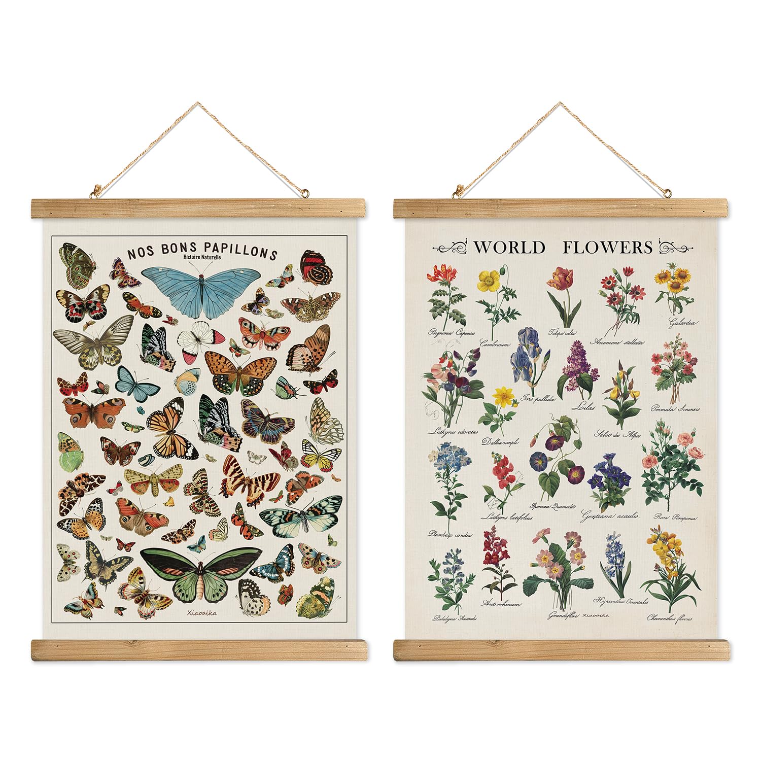 Xiaoaika Vintage Butterfly And World Flowers Poster Set - Educational Insect And Botanical Wall Art With Wooden Hanging Frames,