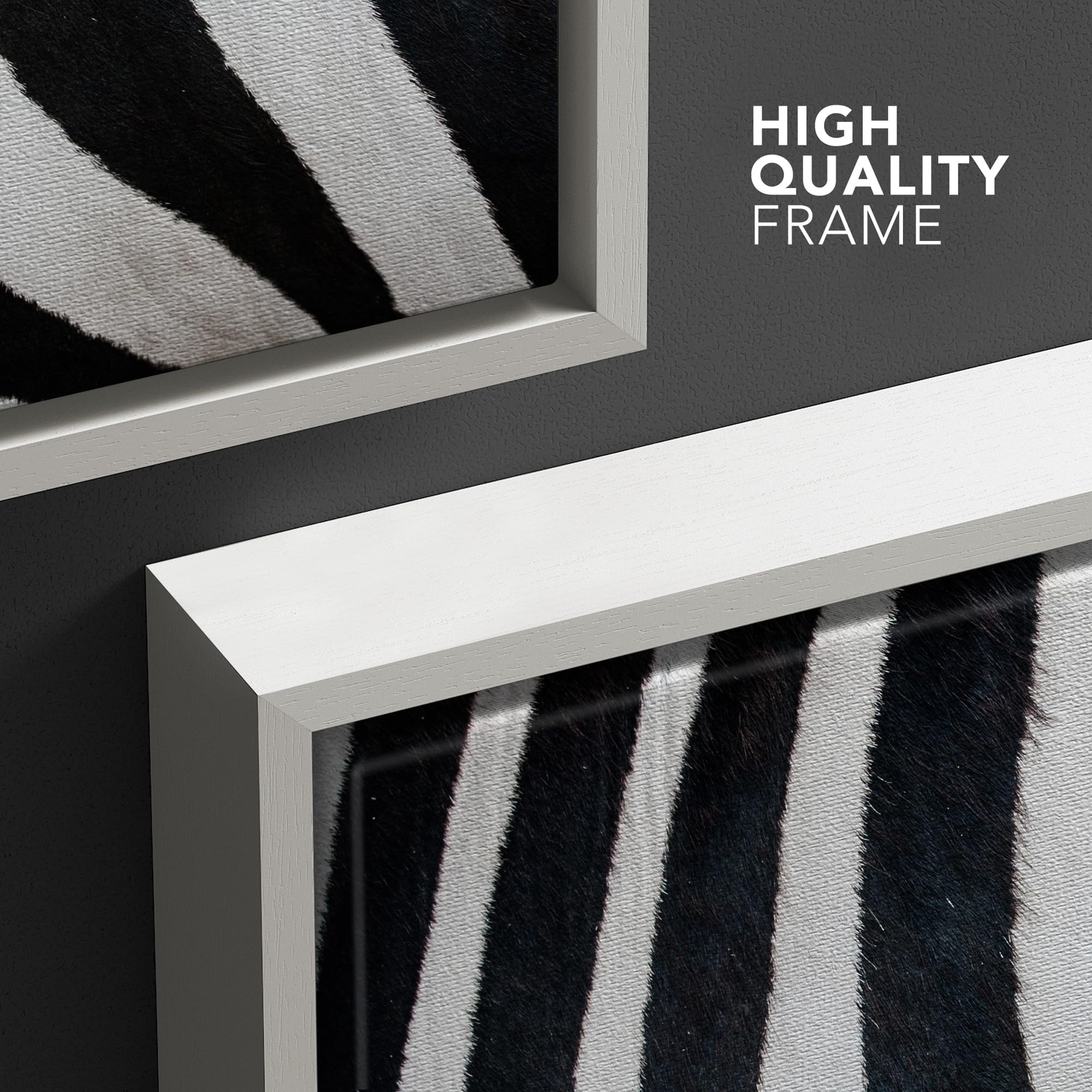 Wall26 Framed Framed Canvas Prints Wall Art Framed Framed Canvas Prints Wall Art - Zebra Fur/Skin Texture - 24''X24'' White