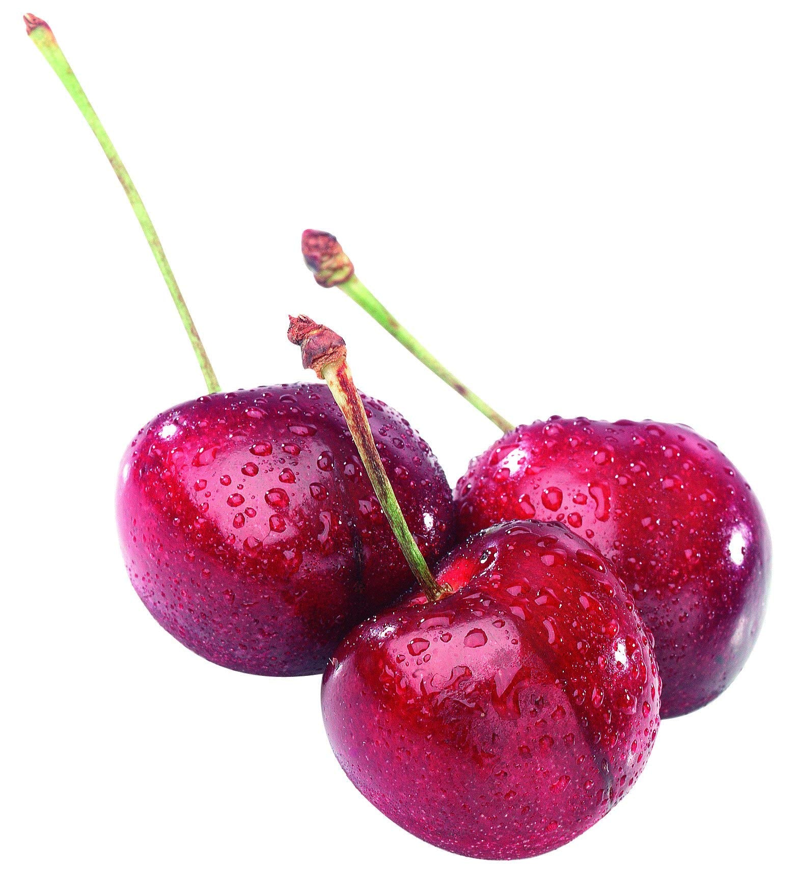 Westmark Cherry Stoner ''Kernex''