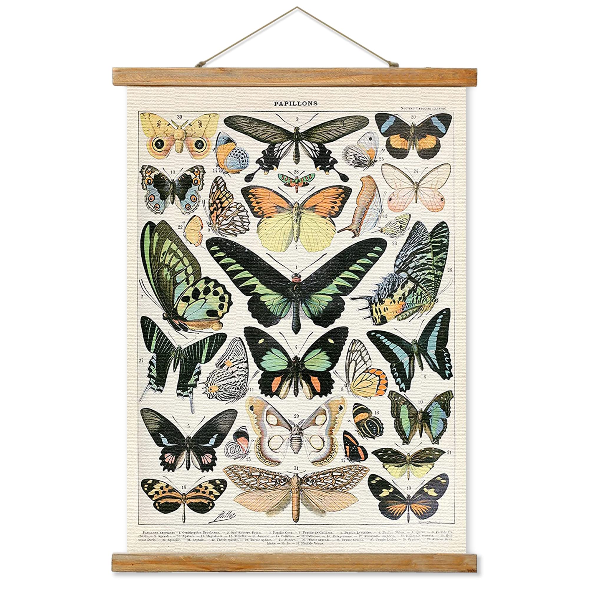 Vintage Butterfly Poster, Rustic Room Aesthetic, Retro Wall Art Prints Without Fading, Printed On Linen With Wood Frames, Ready