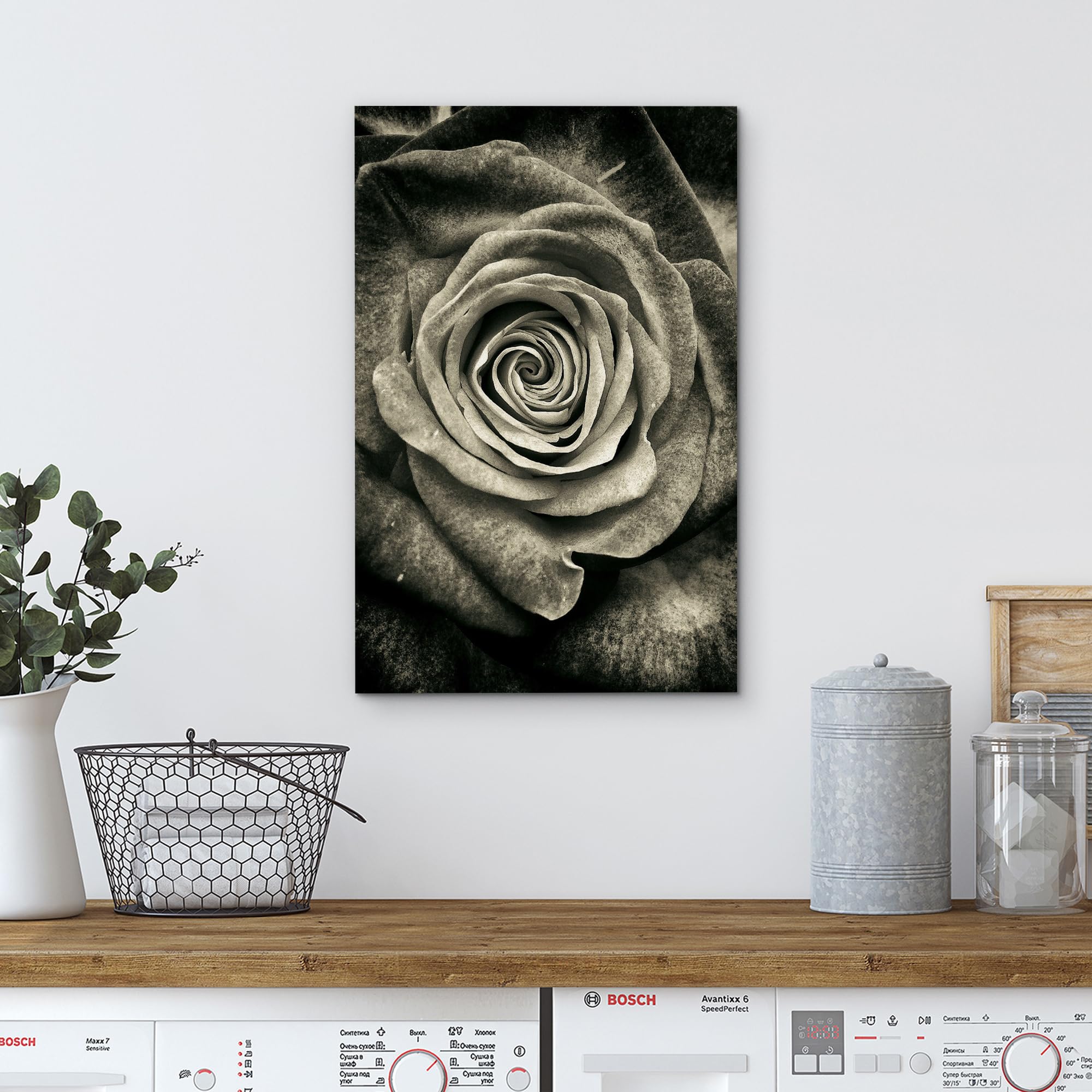 Wall26 Canvas Print Wall Art Elegant Monochrome Rose Timeless Floral Nature Wilderness Photography Modern Art Decorative Country