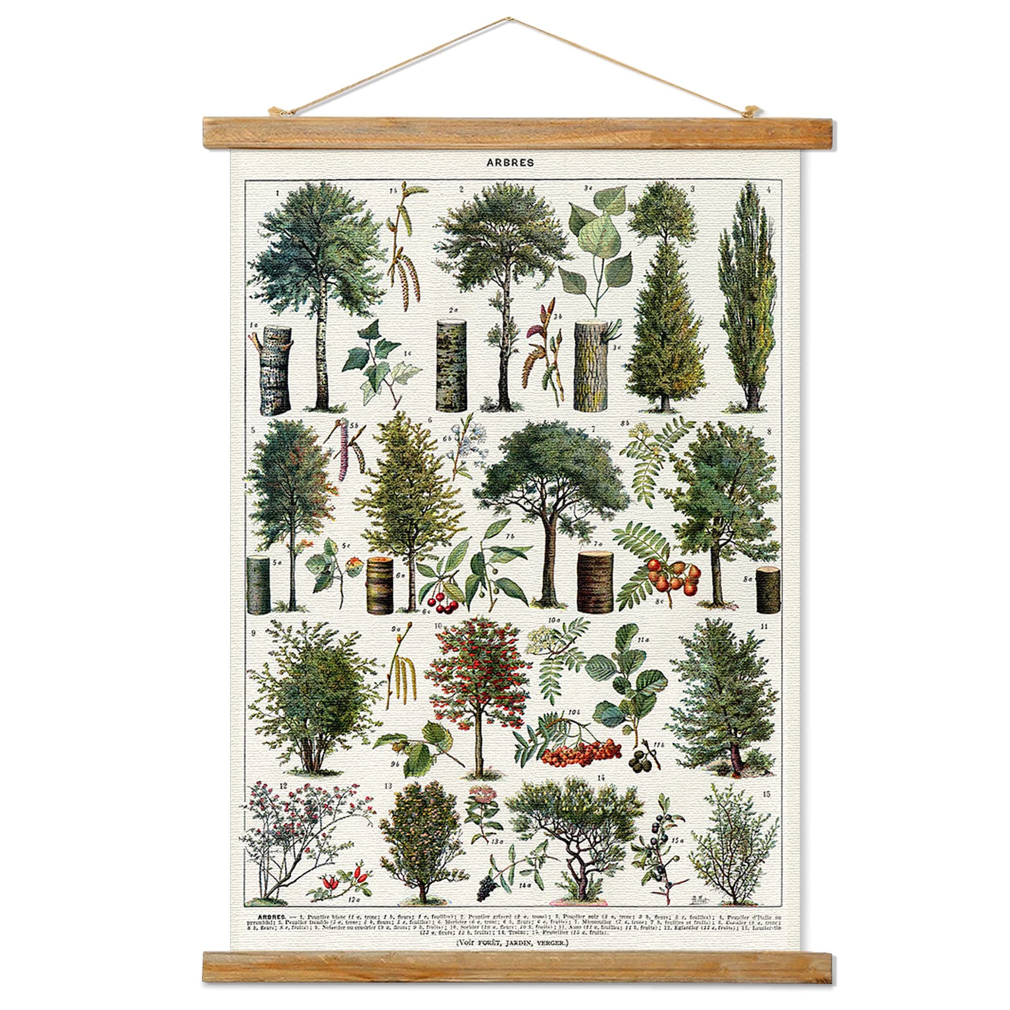Vintage Forest Poster Hanger Frame, Retro Style Of Wall Art Prints, Printed On Linen With Natural Wooden Frames, Illustrative Re