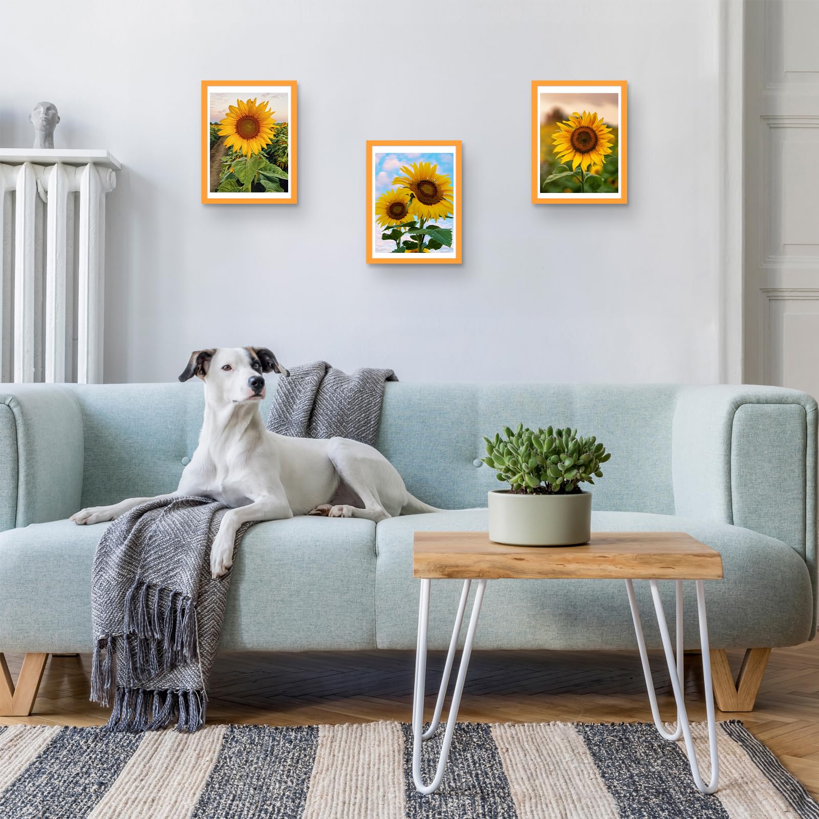 wyooxoo 12x16 Picture Frame Made of Solid Wood Orange Photo Frames Display Pictures 11x14 with Mat or 12x16 Without Mat Colorful