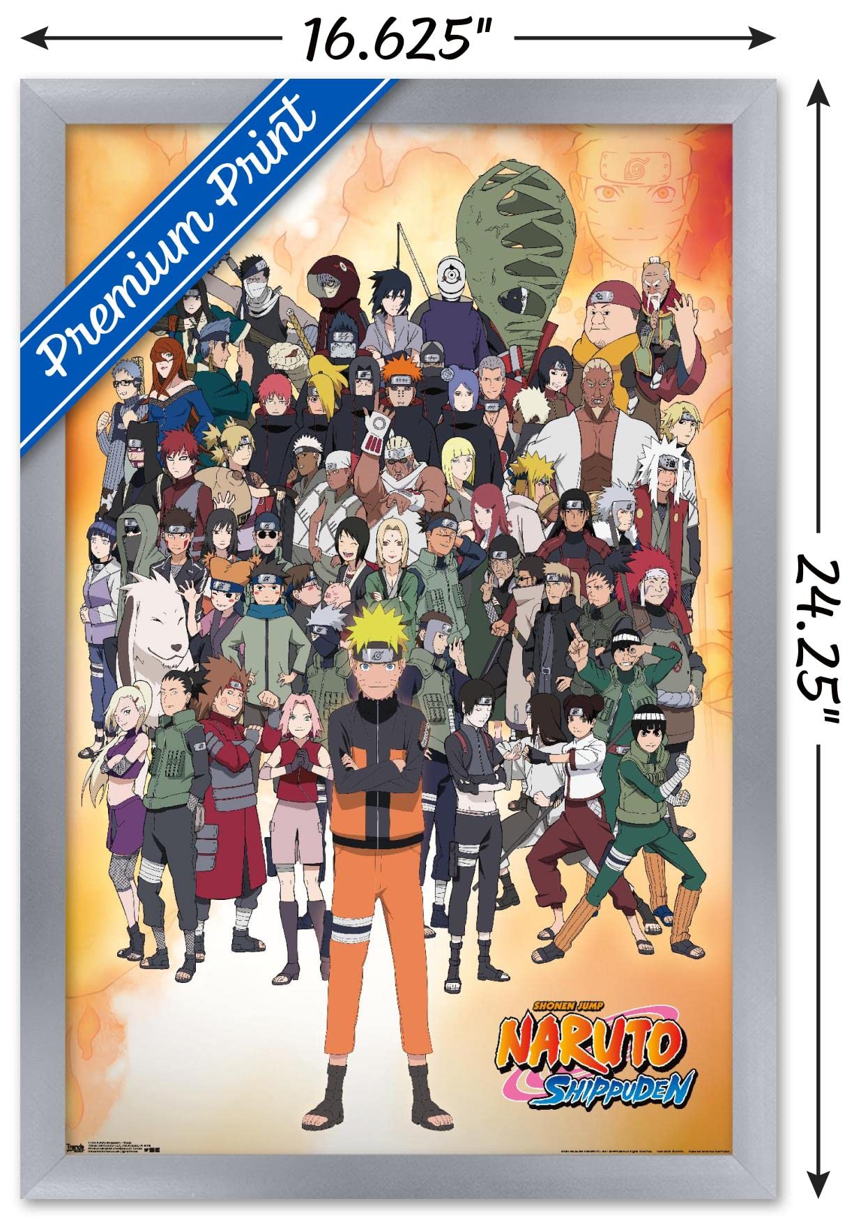 Trends International Naruto Shippuden - Group Wall Poster, 14.725'' X 22.375'', Silver Framed Version