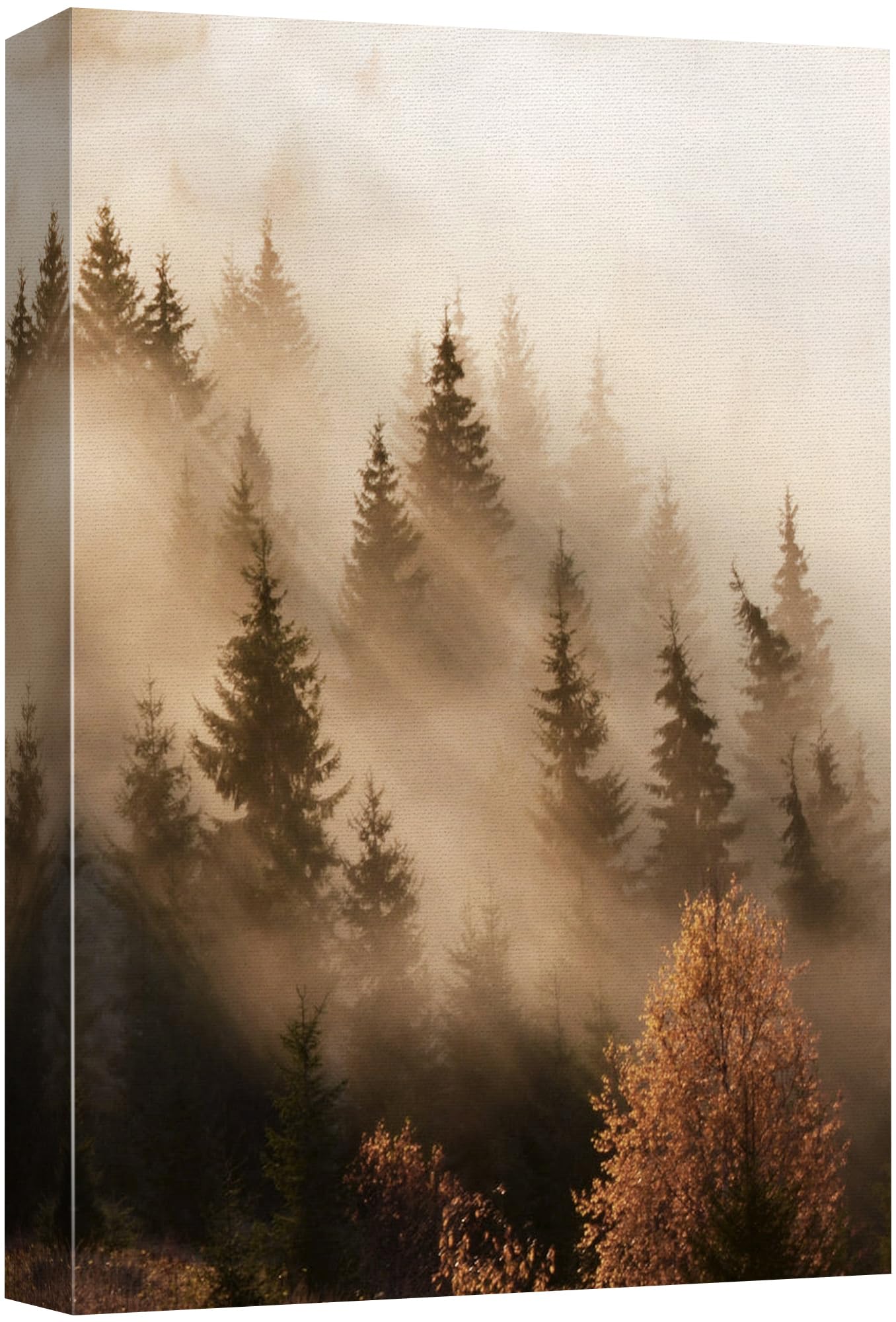 Signford Canvas Print Wall Art Misty Forest Sunrise Enchanted Woods And Morning Light Photography Realism Decorative Scenic Mult