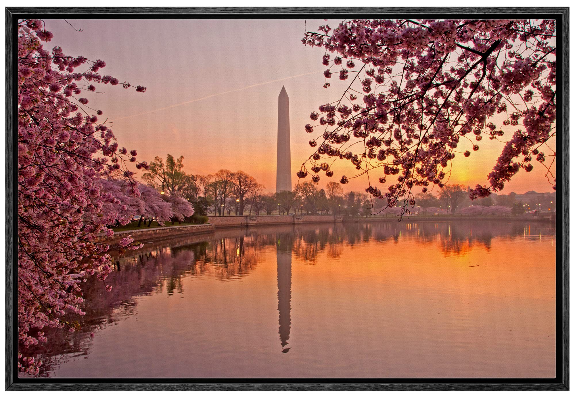 Framed Canvas Prints Wall Art - Cherry Blossom Festival At The National Mall Washington, Dc  Modern Wall Decor/Home Art Stretche