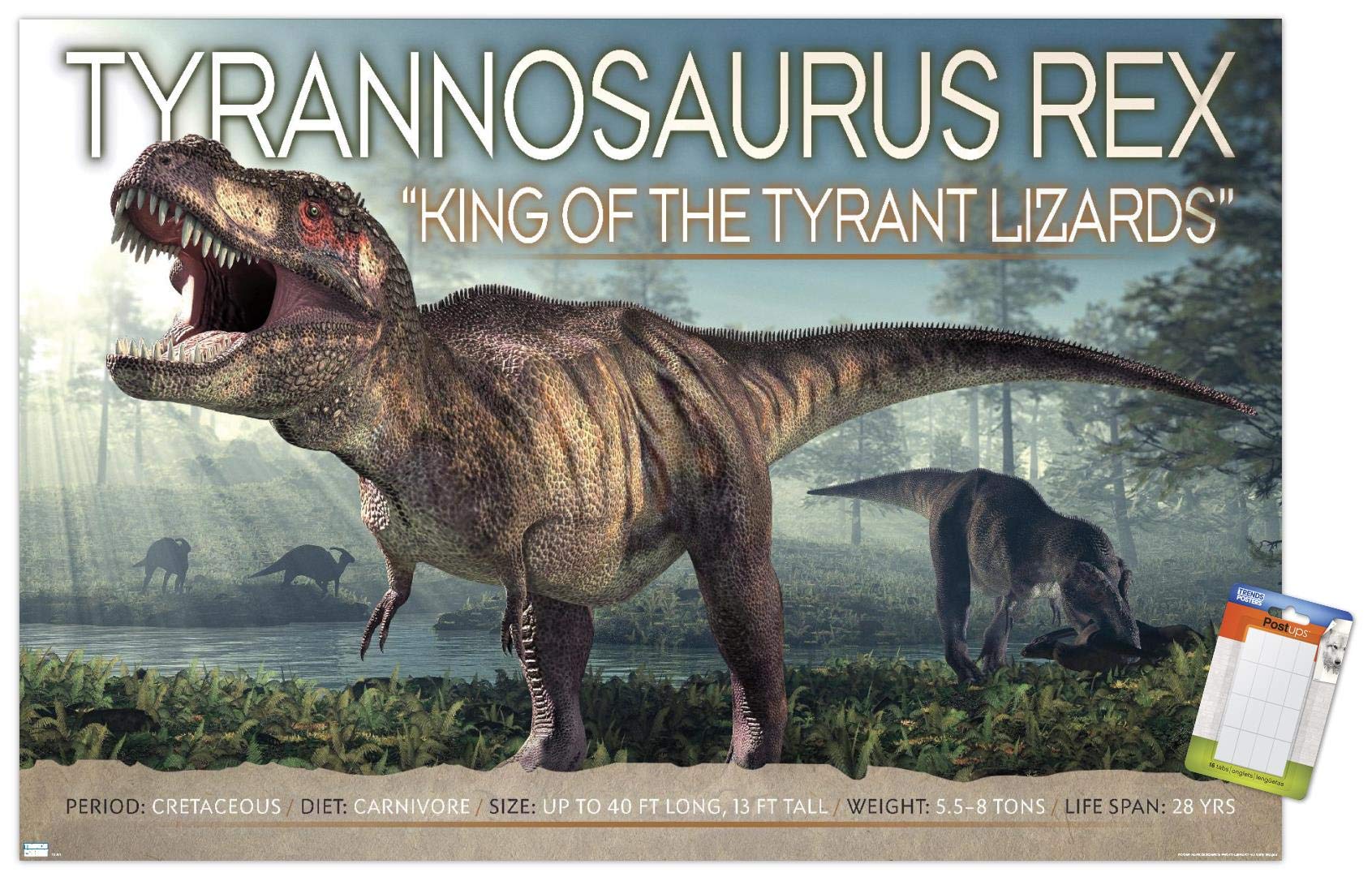 Trends International Dinosaurs - T-Rex Wall Poster, 22.375'' X 34'', Poster & Mount Bundle